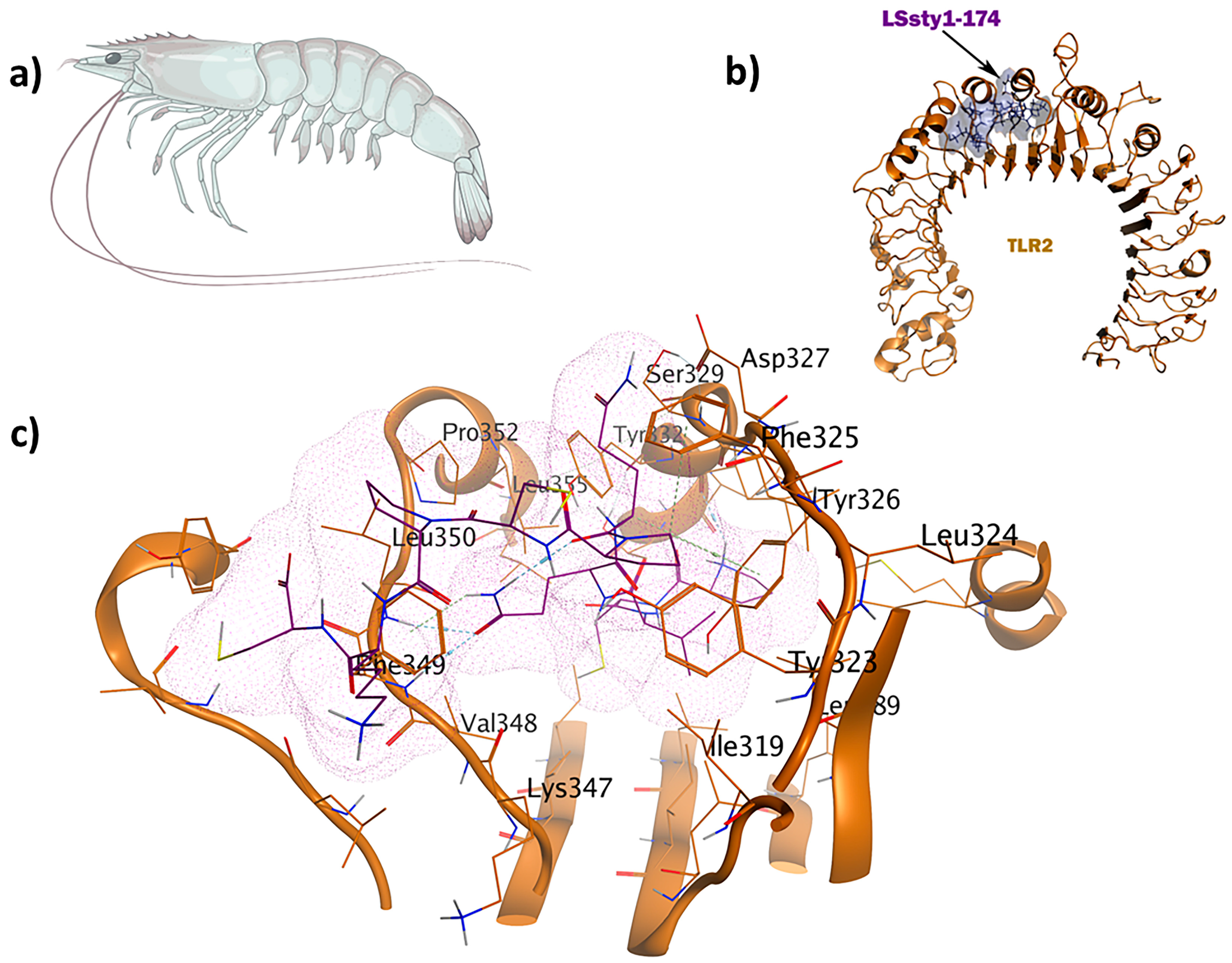 Pharmaceuticals 17 00201 g006