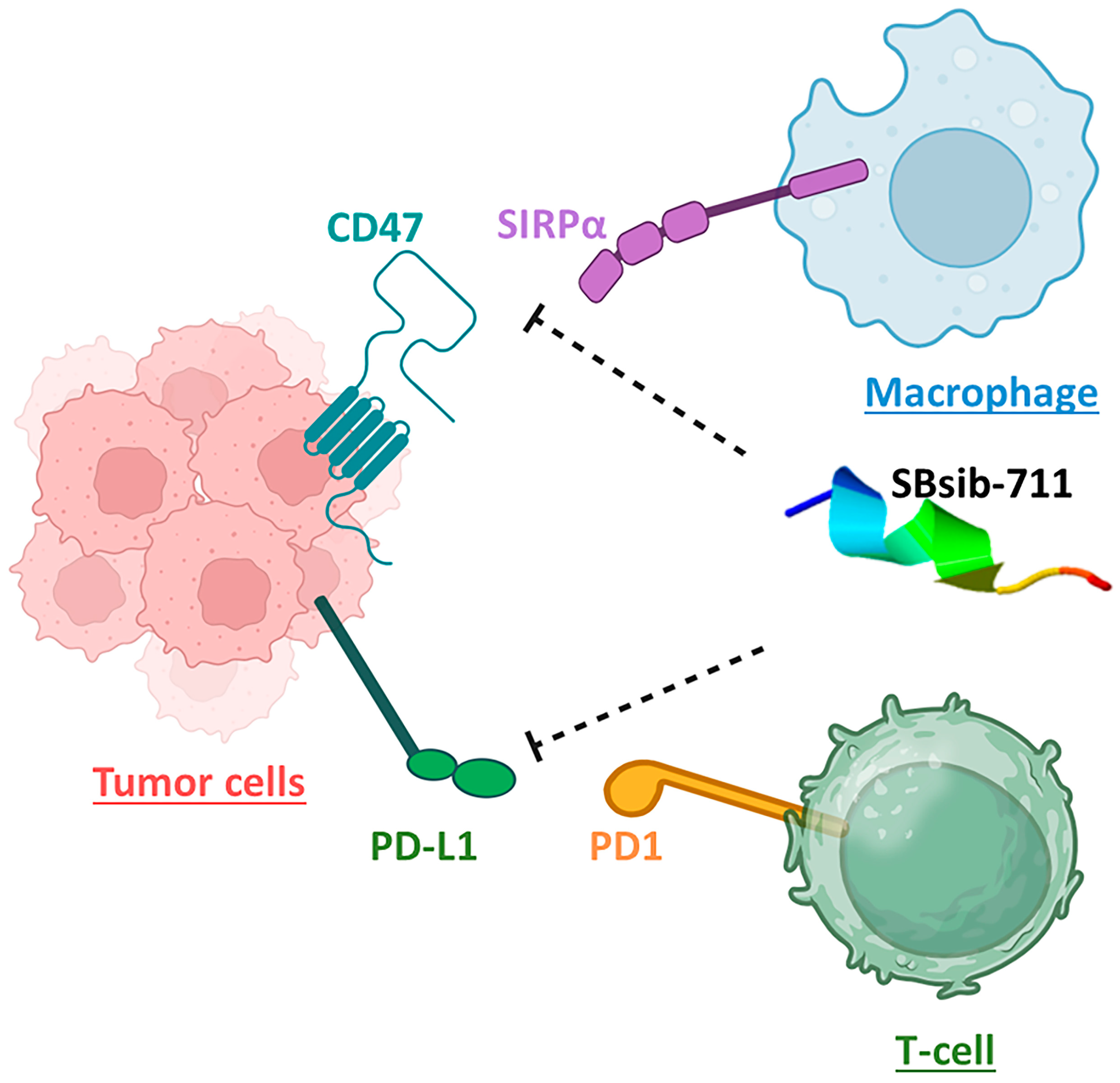 Pharmaceuticals 17 00201 g008