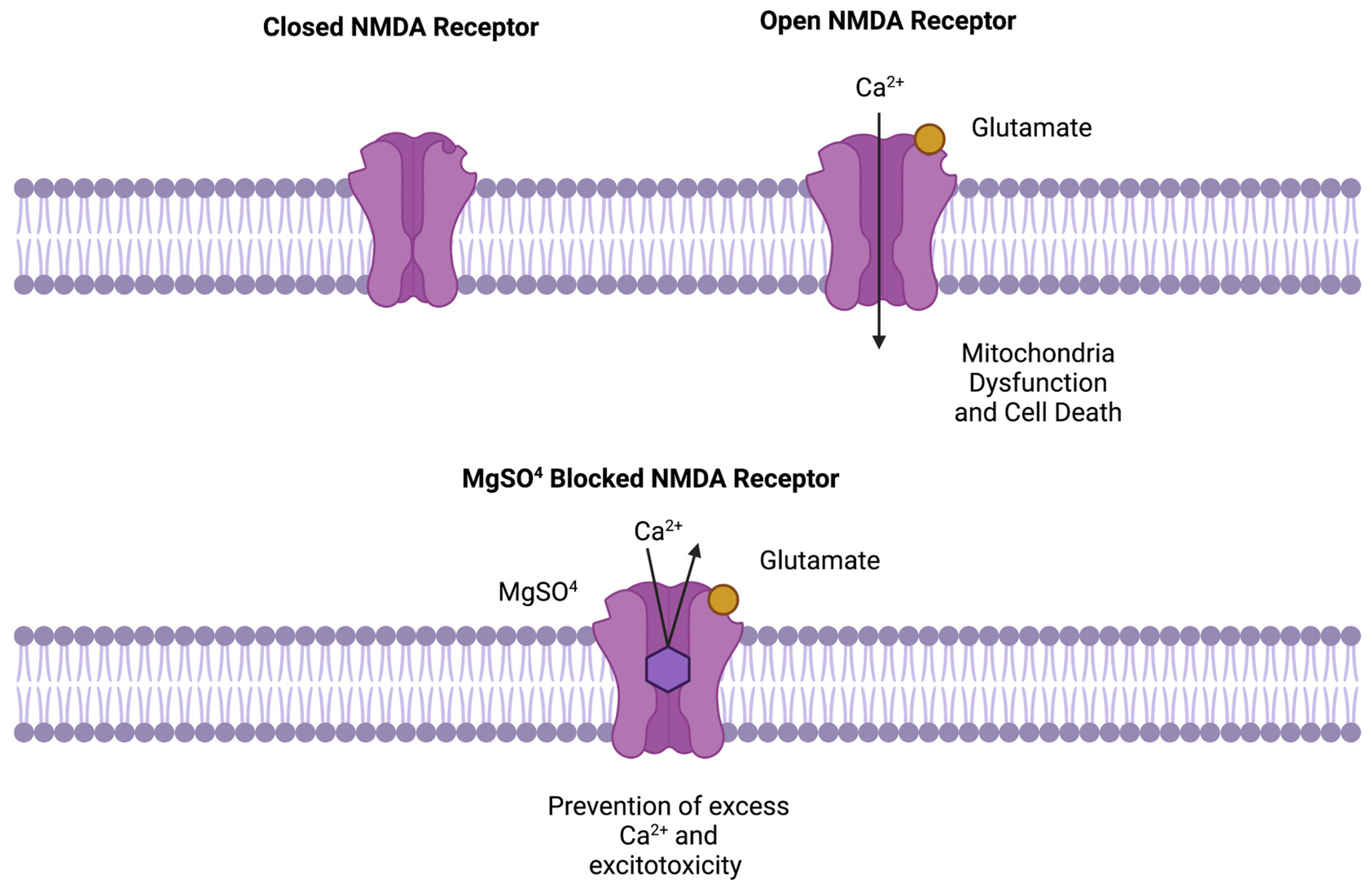 Pharmaceuticals 17 00218 g001
