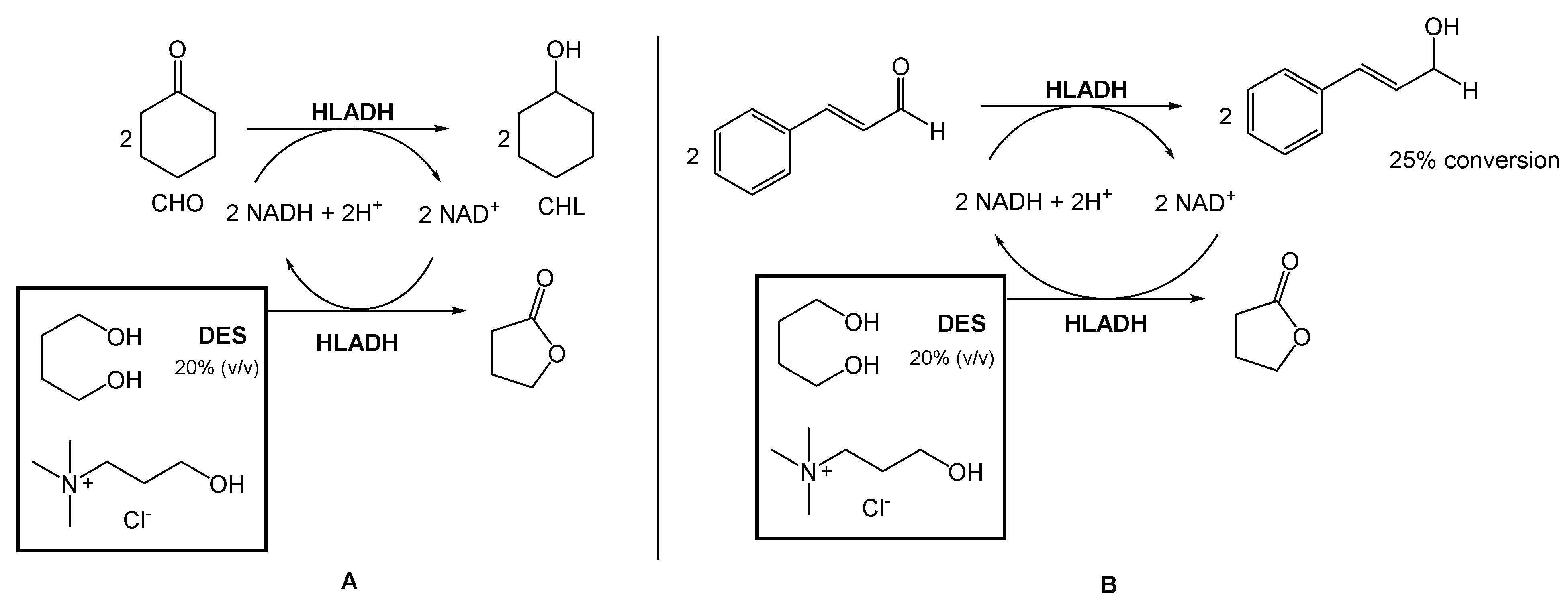 Pharmaceuticals 17 00221 sch001