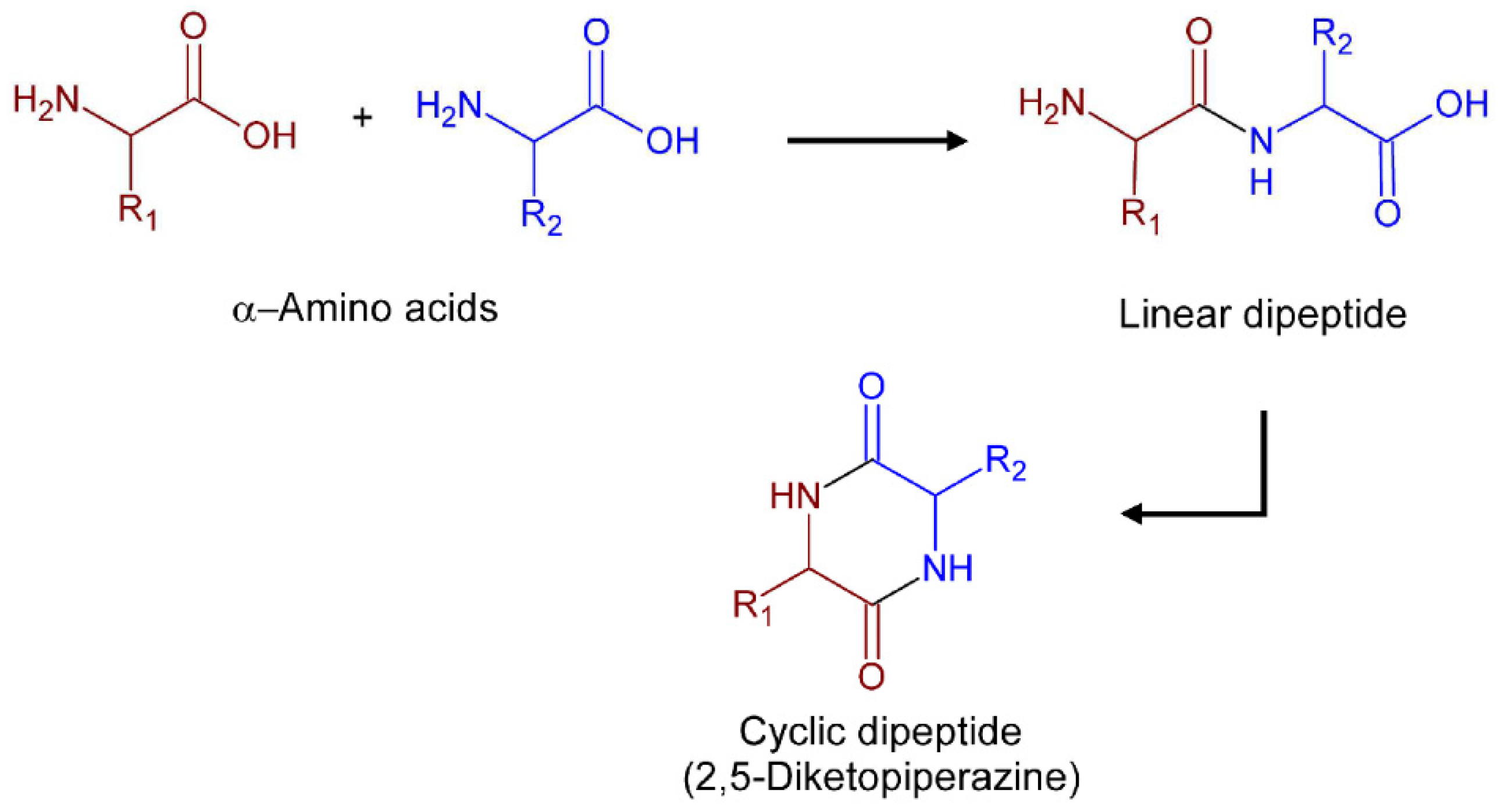 Pharmaceuticals 17 00223 g001