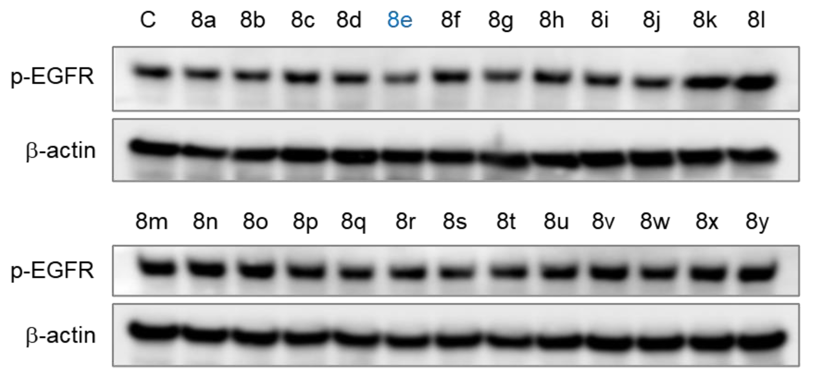 Pharmaceuticals 17 00231 g004
