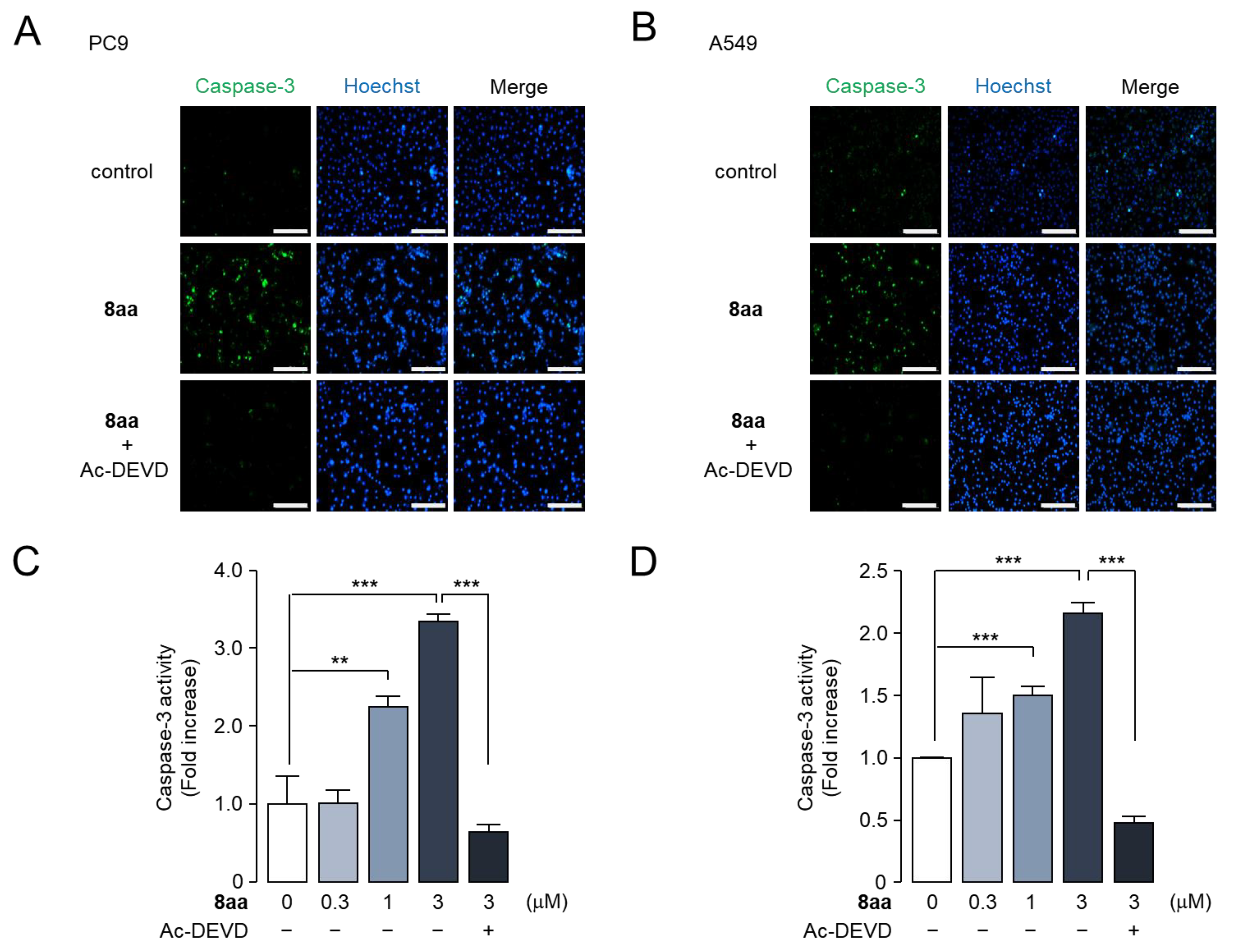 Pharmaceuticals 17 00231 g010a