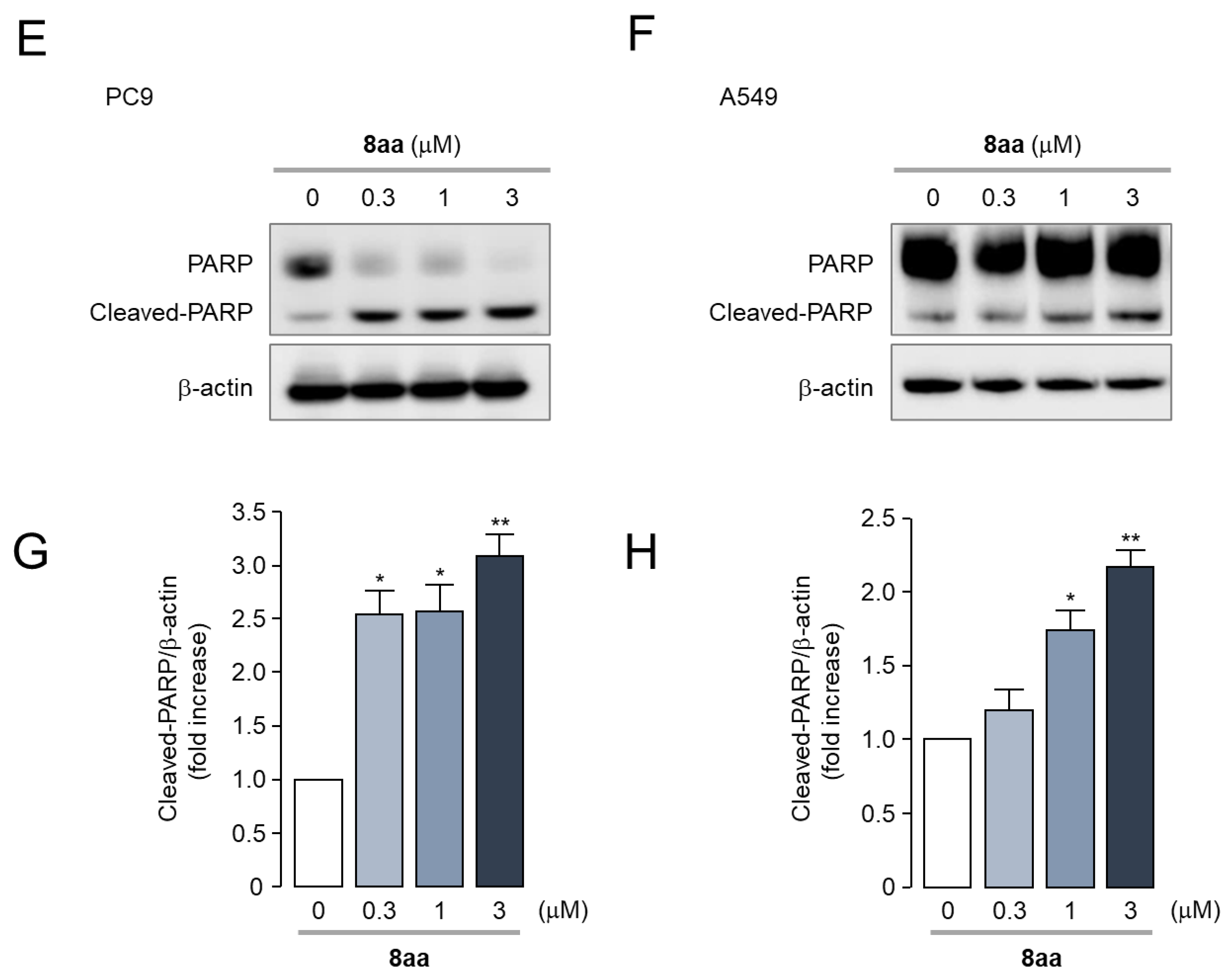 Pharmaceuticals 17 00231 g010b