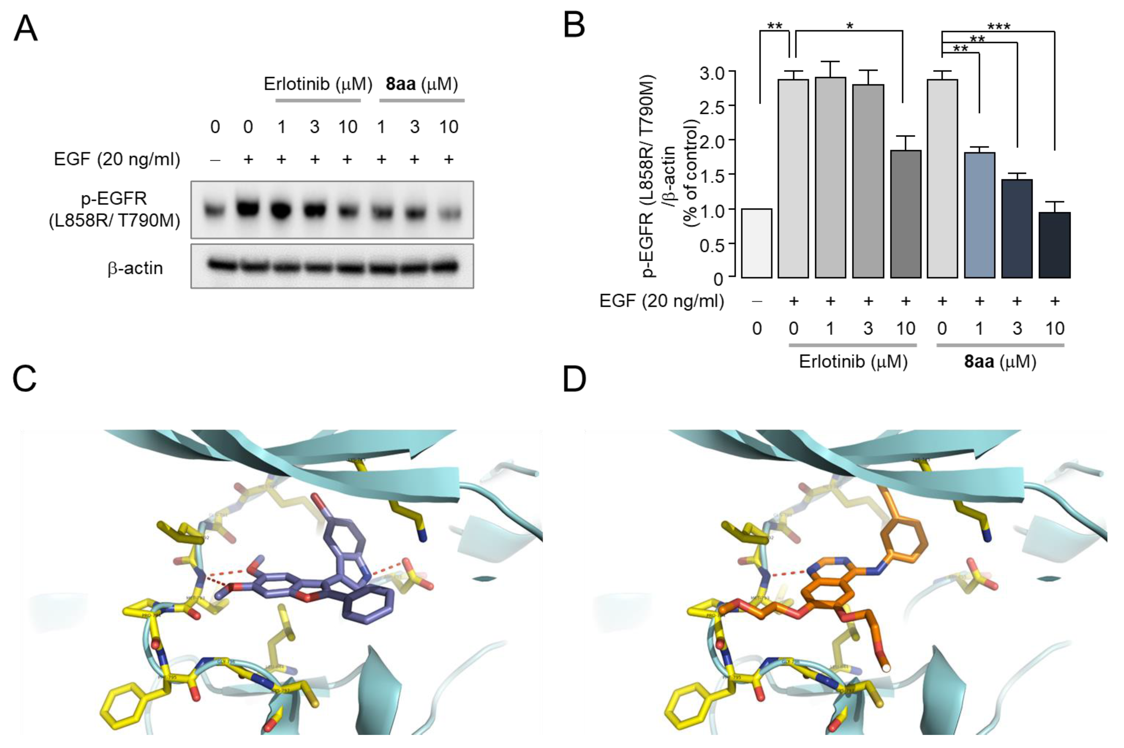 Pharmaceuticals 17 00231 g012