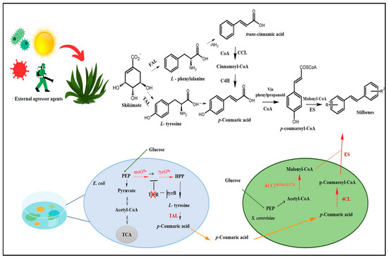 Pharmaceuticals 17 00232 g002