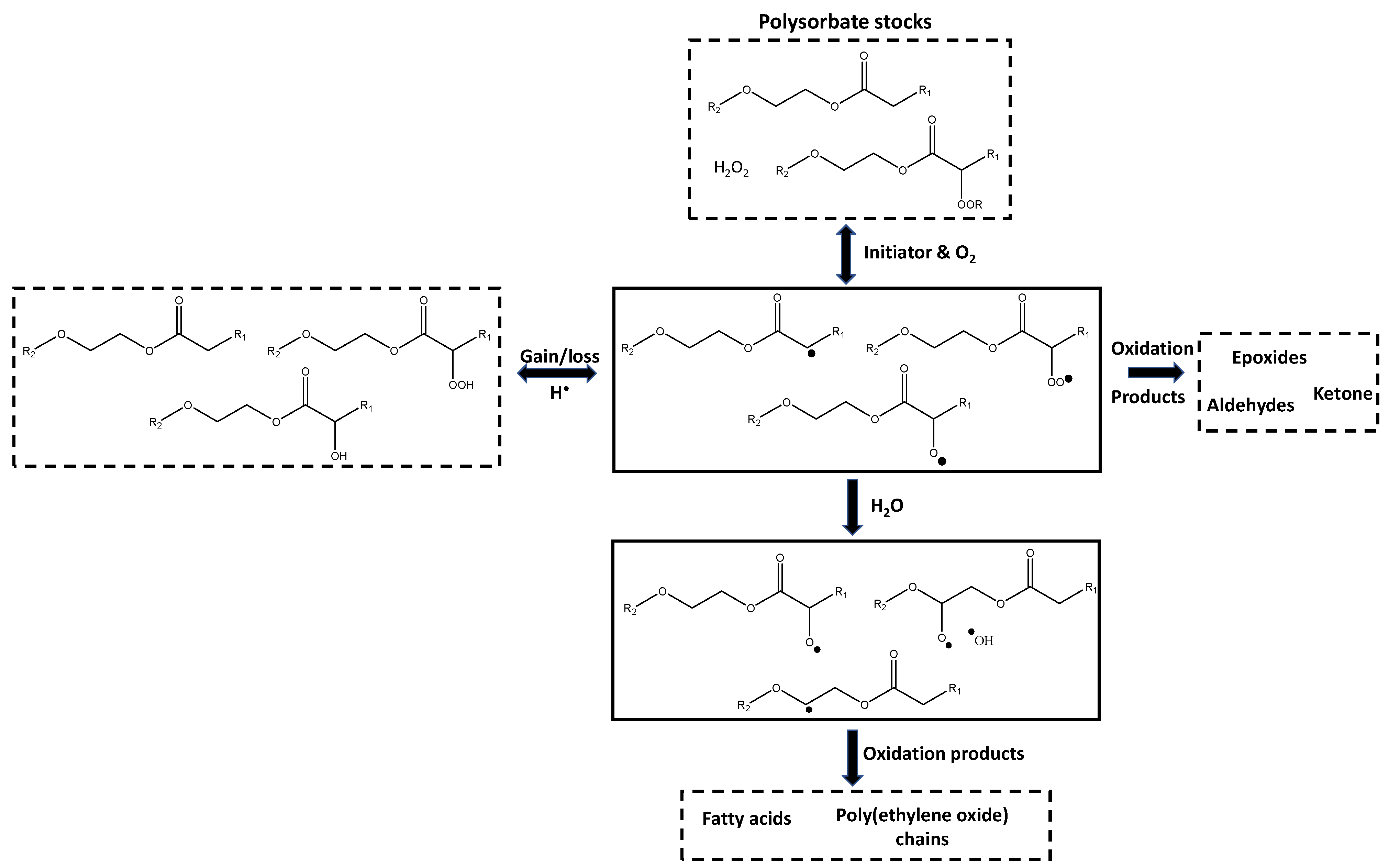 Pharmaceuticals 17 00233 g004