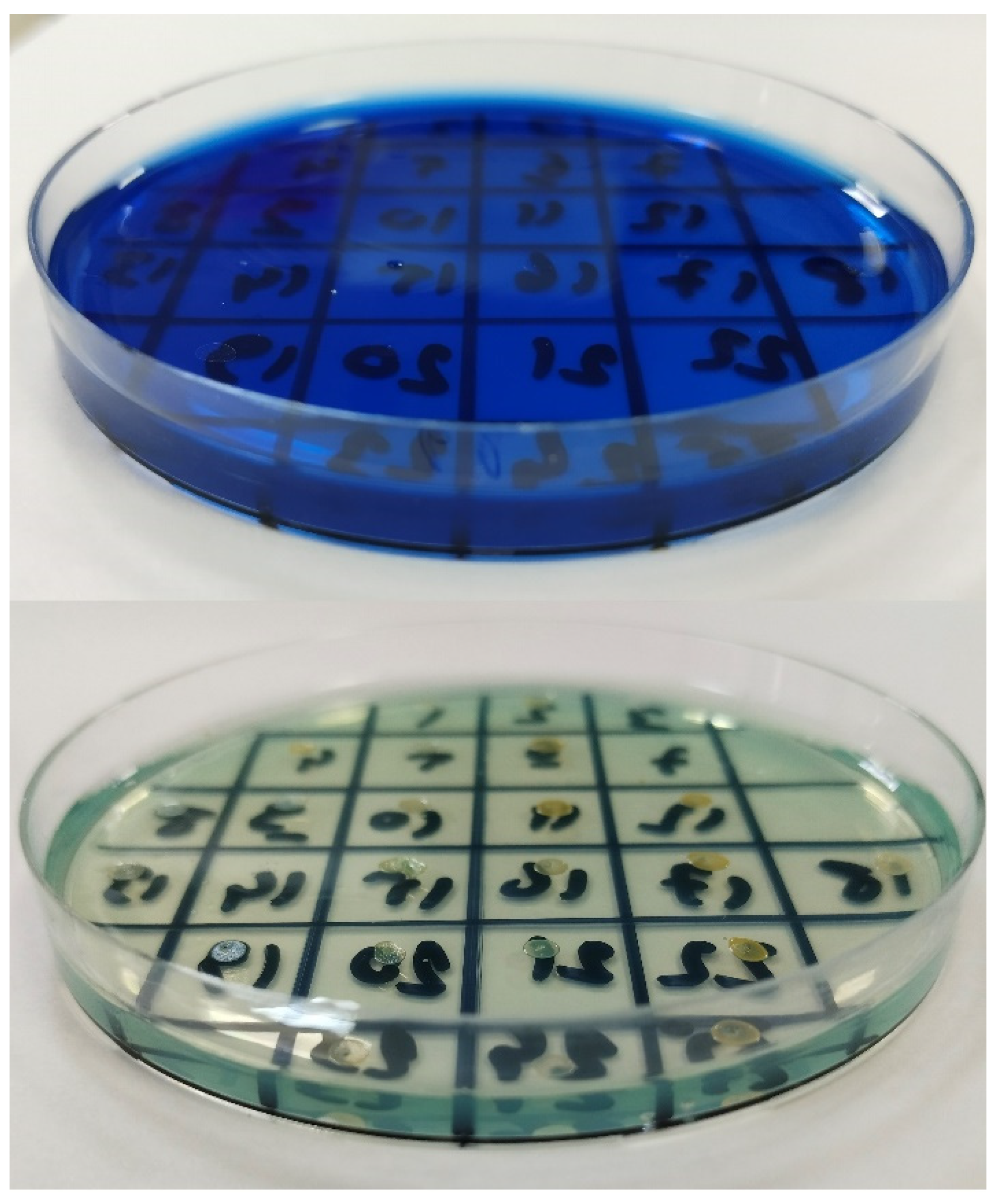 Pharmaceuticals 17 00241 g007 Pharmaceuticals 17 00241 g007