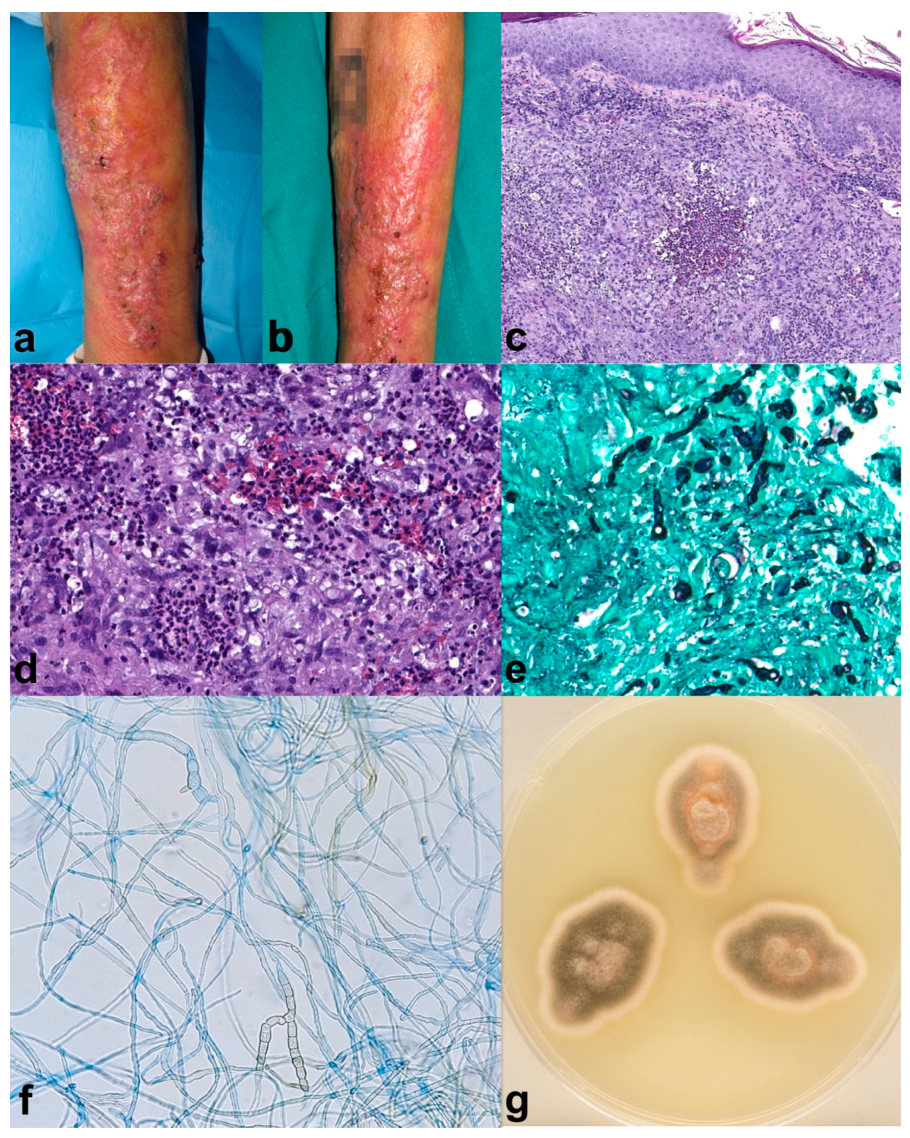 Pharmaceuticals 17 00245 g001