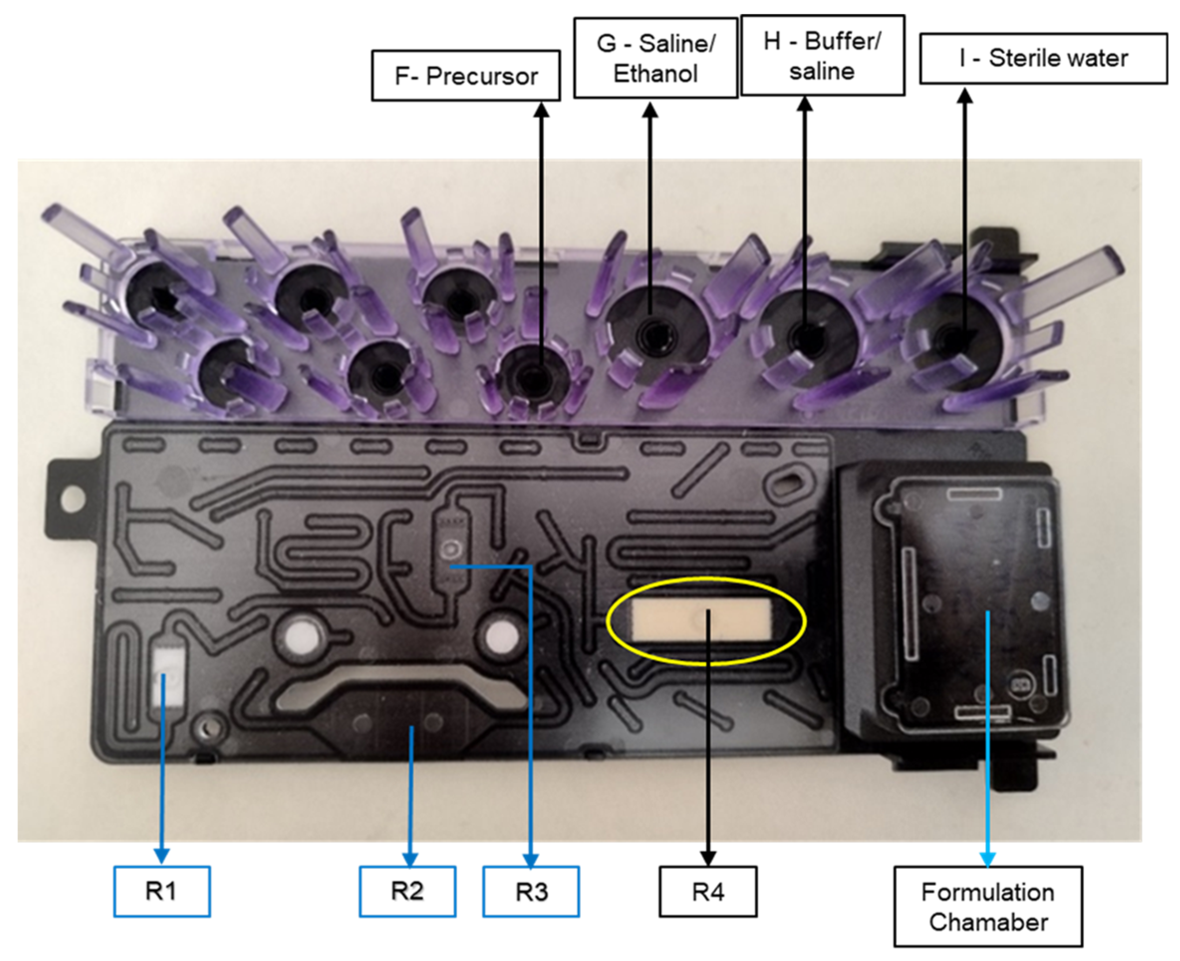 Pharmaceuticals 17 00250 g003
