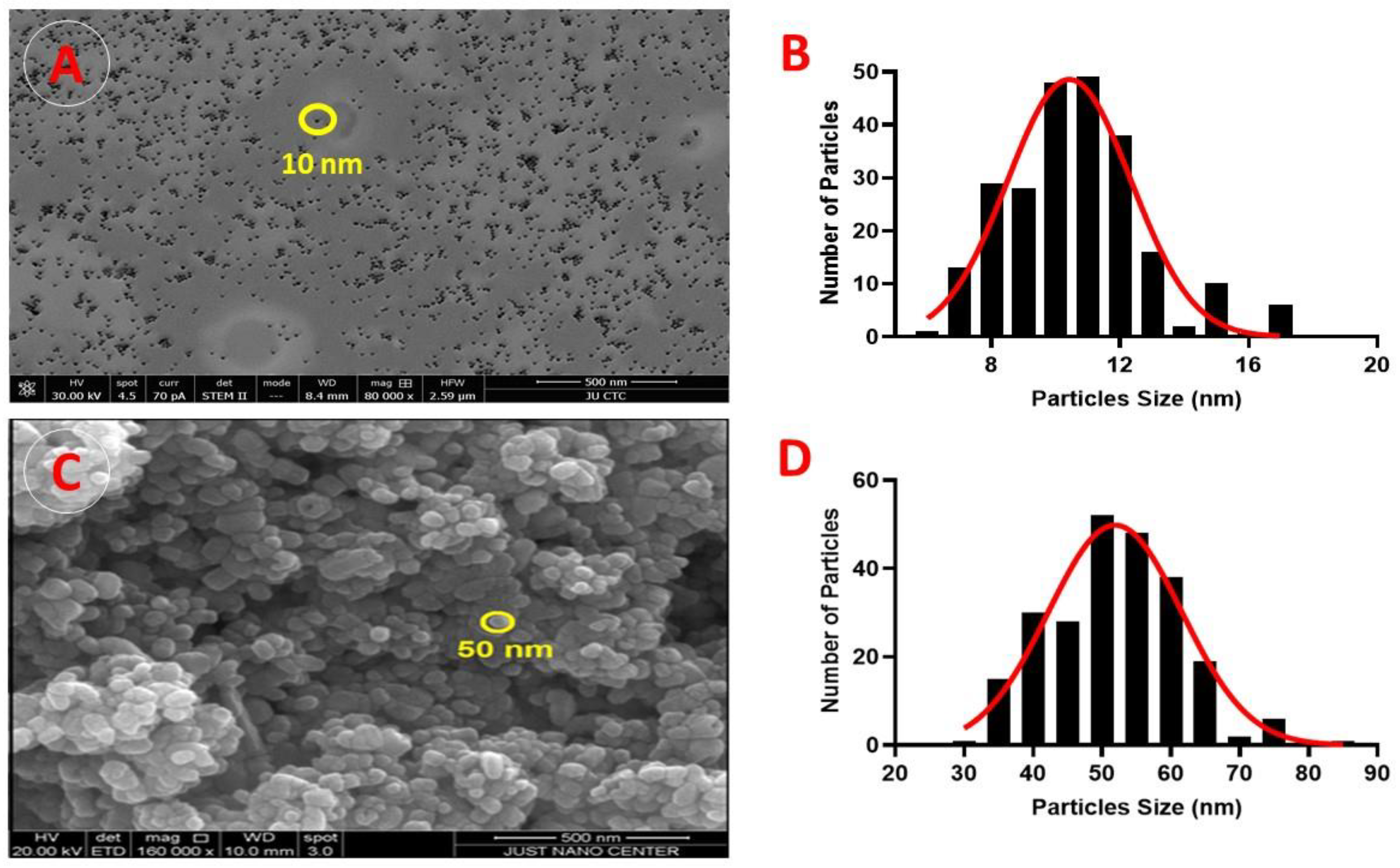 Pharmaceuticals 17 00255 g002