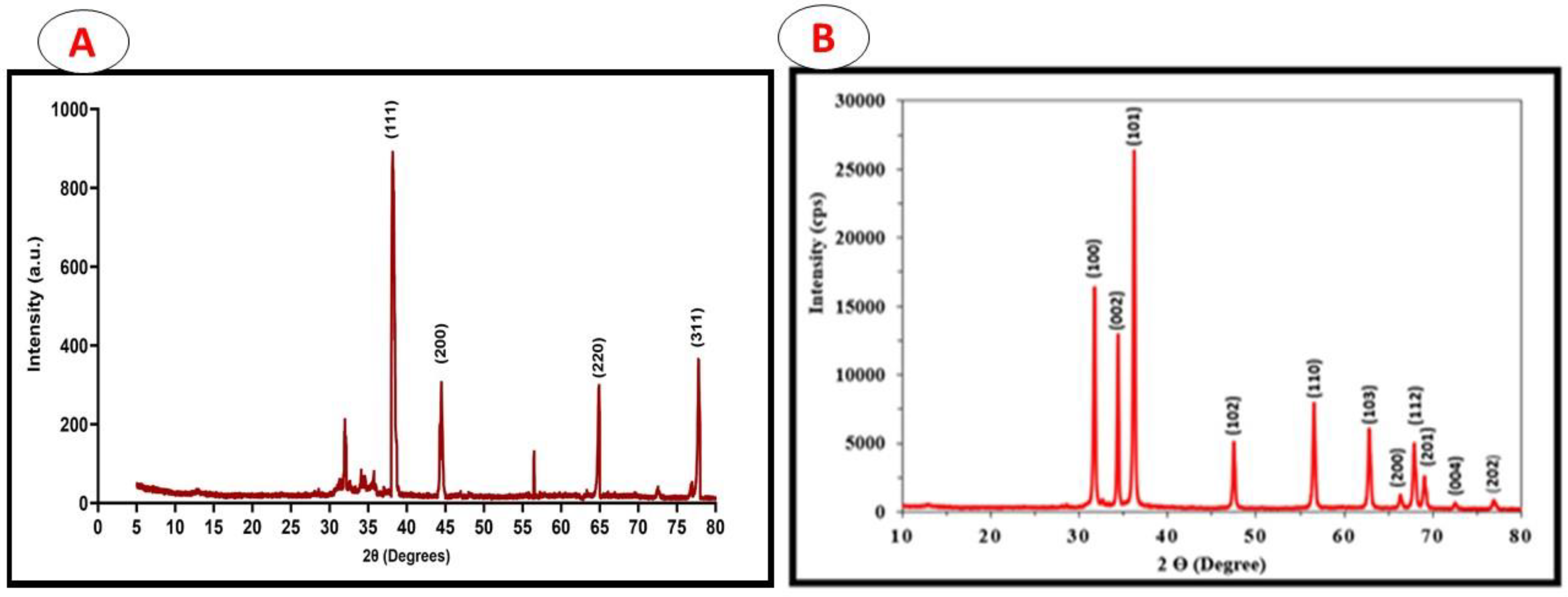 Pharmaceuticals 17 00255 g003