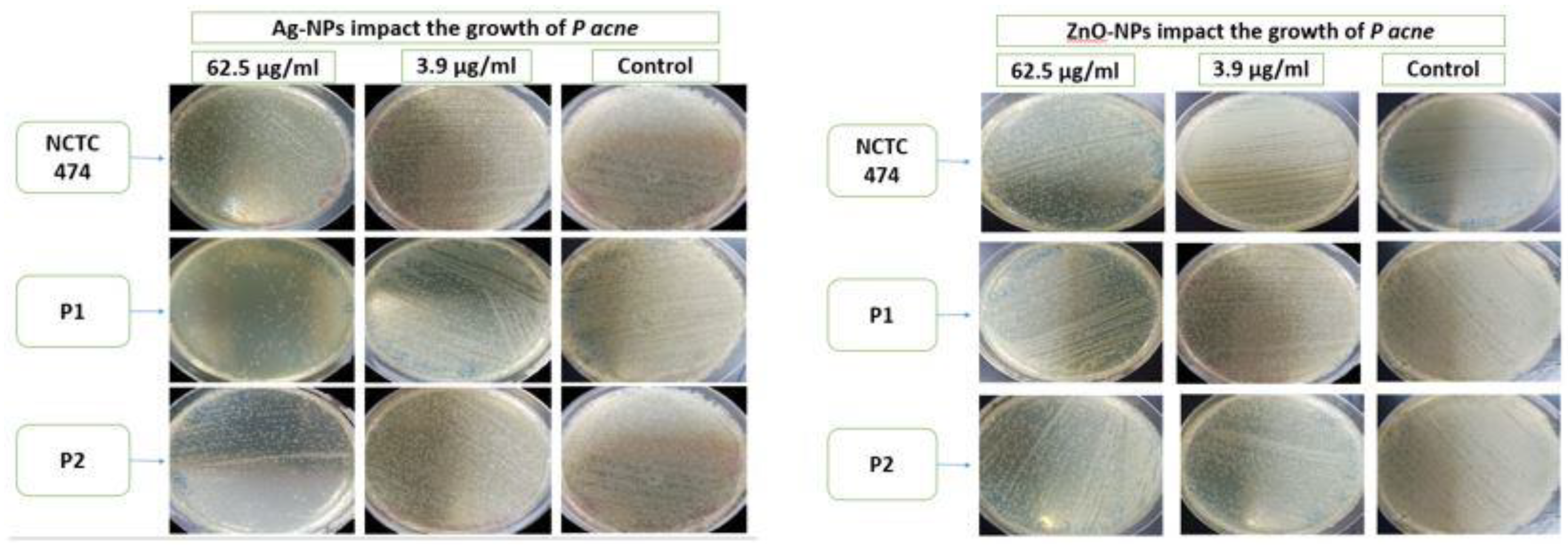 Pharmaceuticals 17 00255 g007