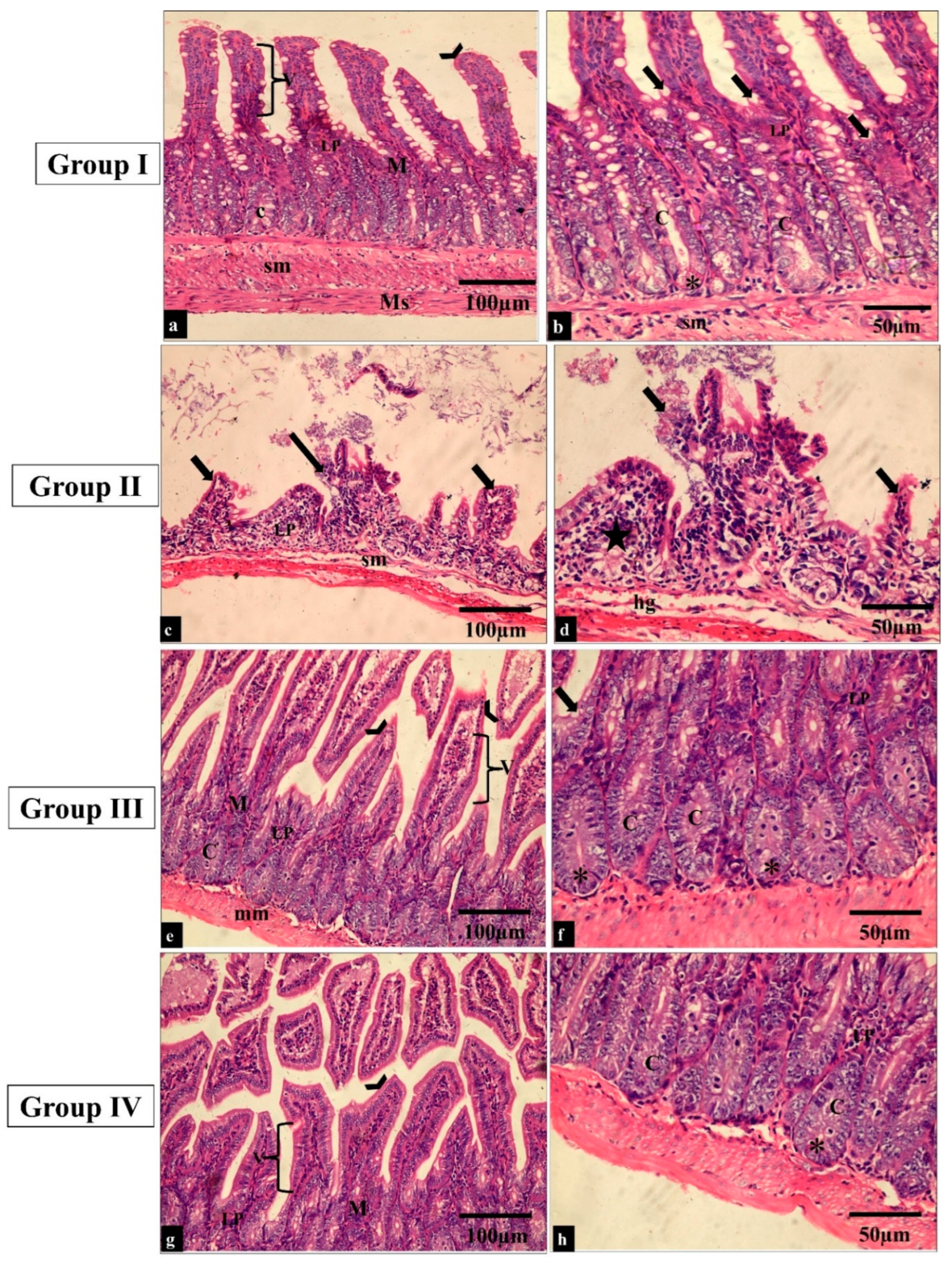 Pharmaceuticals 17 00259 g006