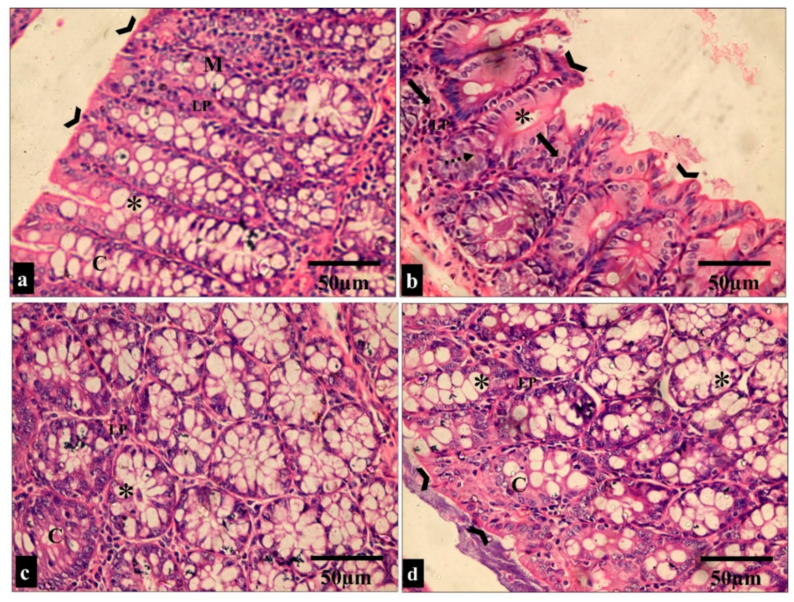 Pharmaceuticals 17 00259 g007