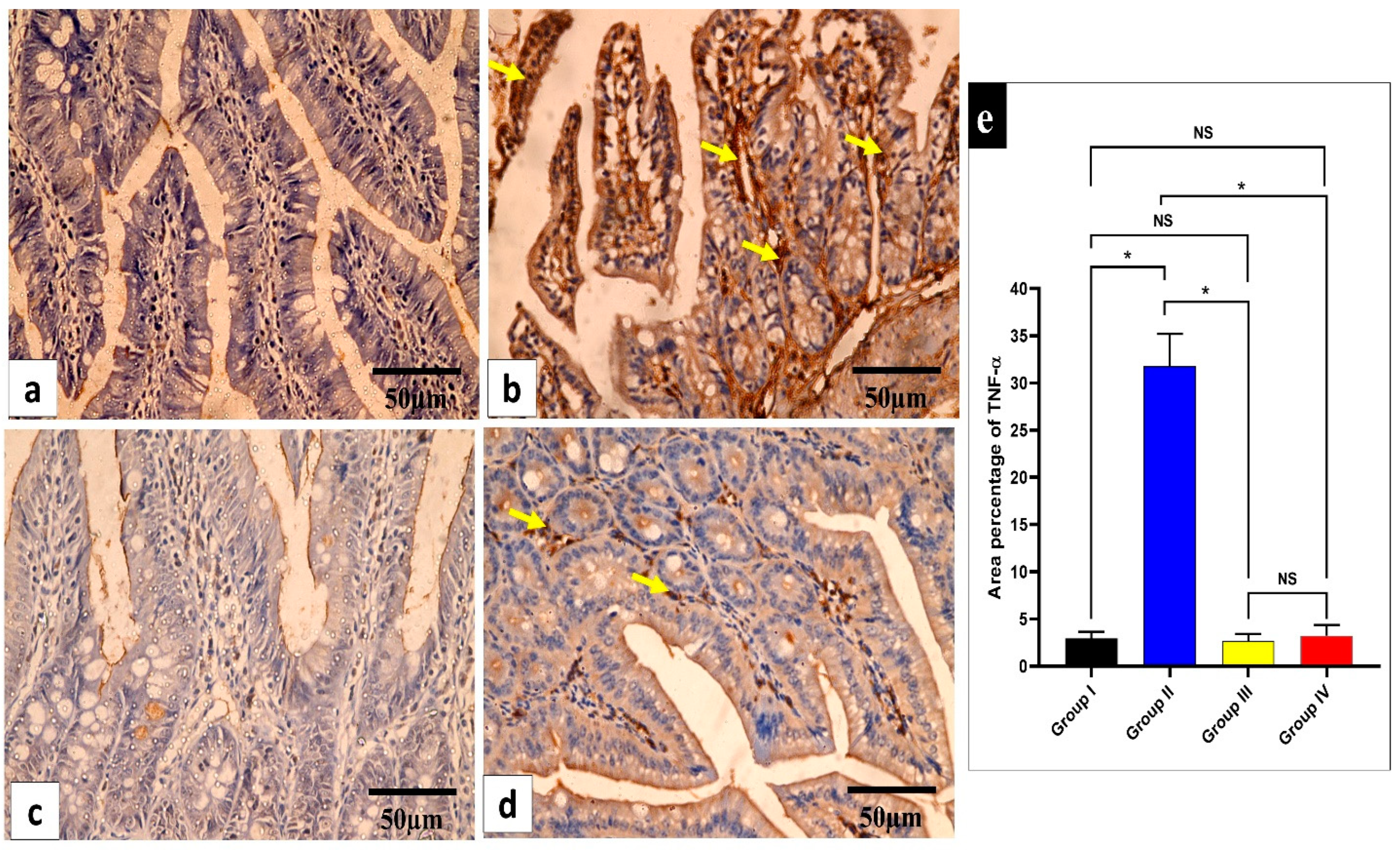 Pharmaceuticals 17 00259 g008