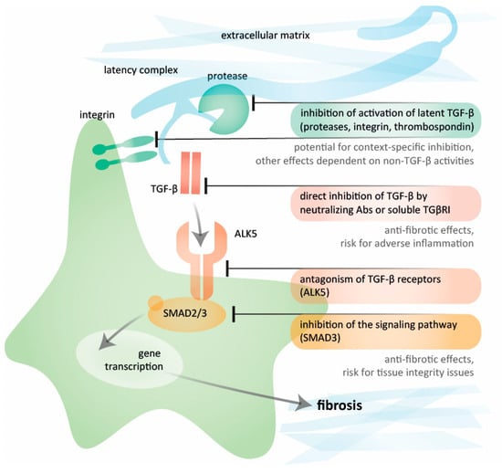 Pharmaceuticals 17 00267 g002