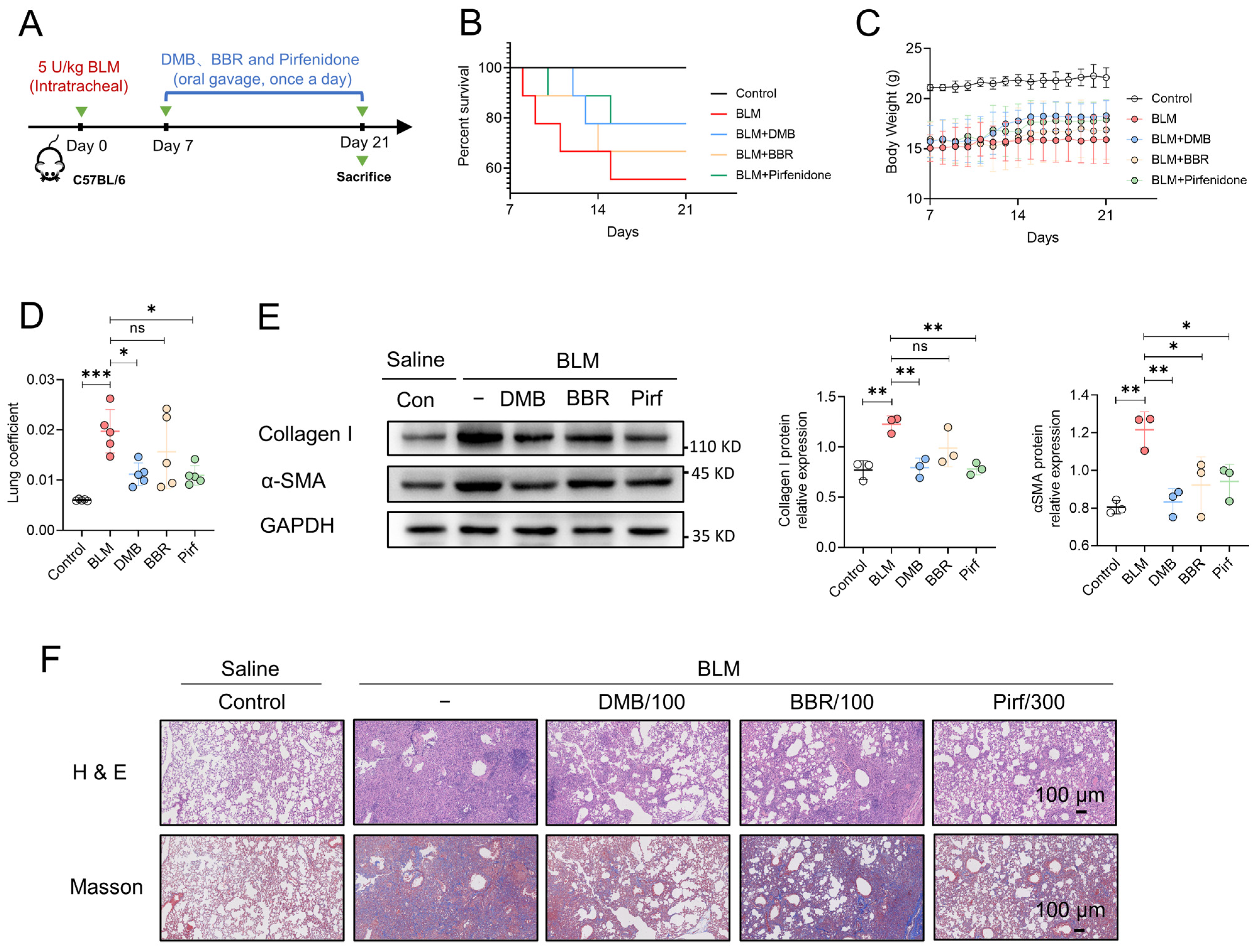 Pharmaceuticals 17 00279 g007