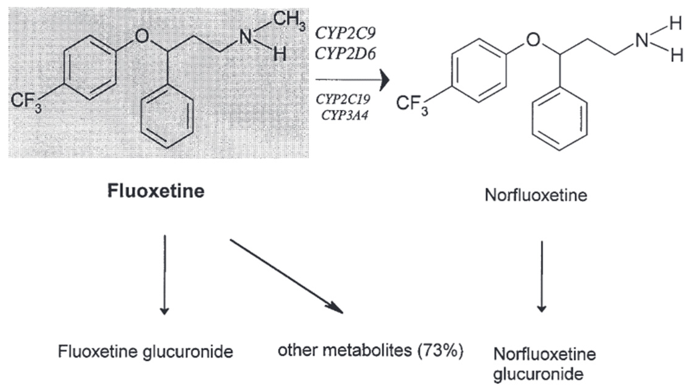 Pharmaceuticals 17 00280 g004