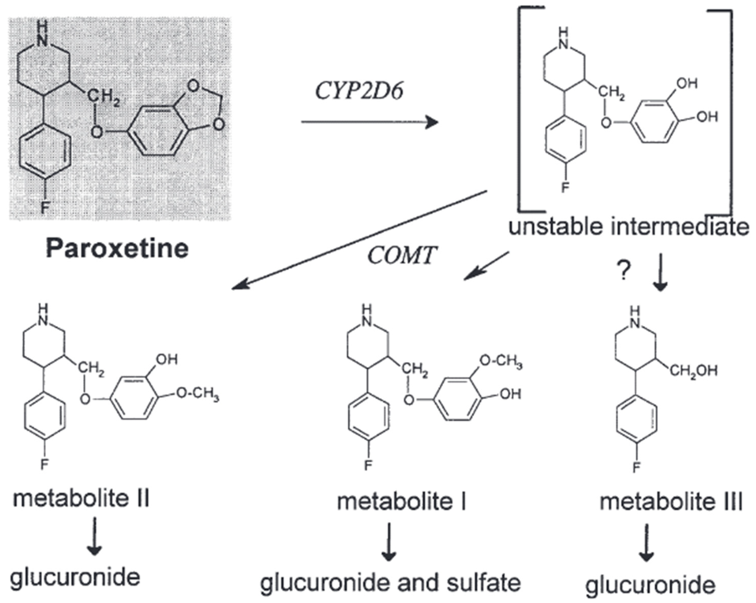 Pharmaceuticals 17 00280 g005