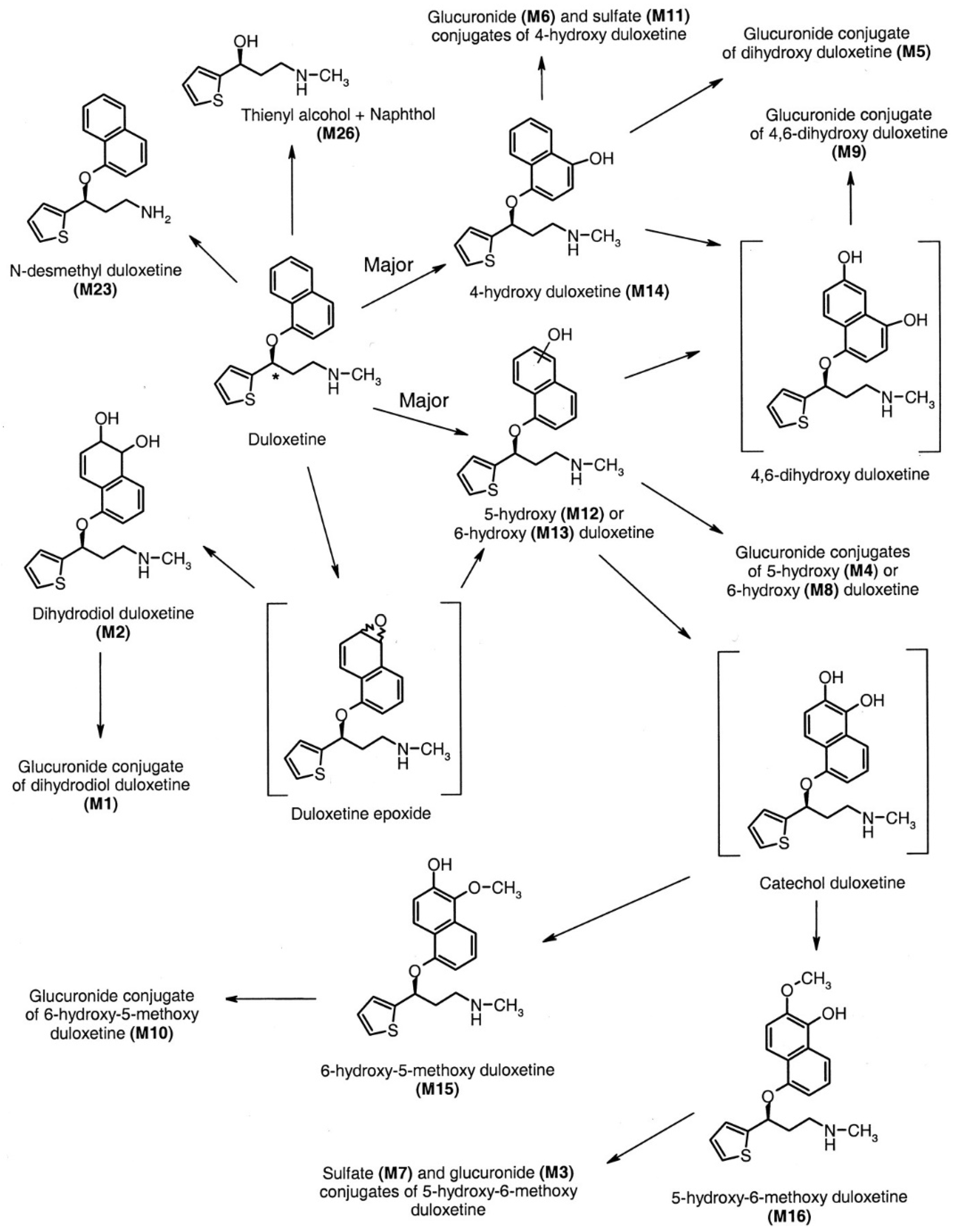 Pharmaceuticals 17 00280 g009
