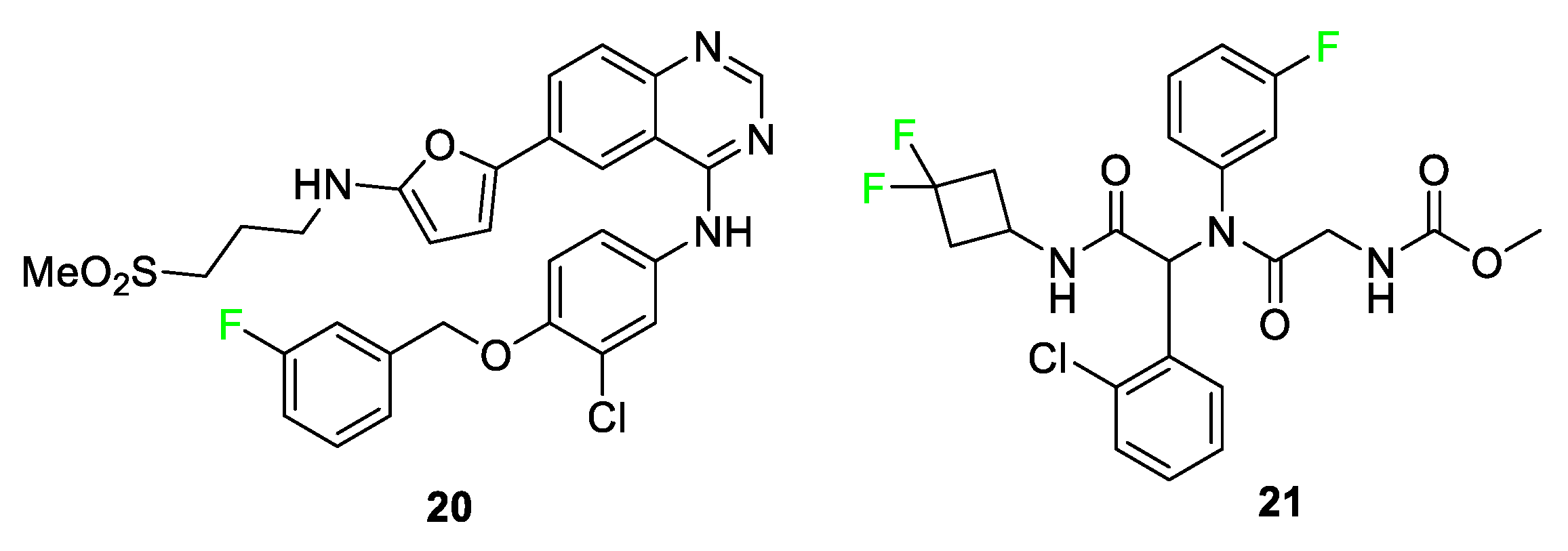 Pharmaceuticals 17 00281 g010