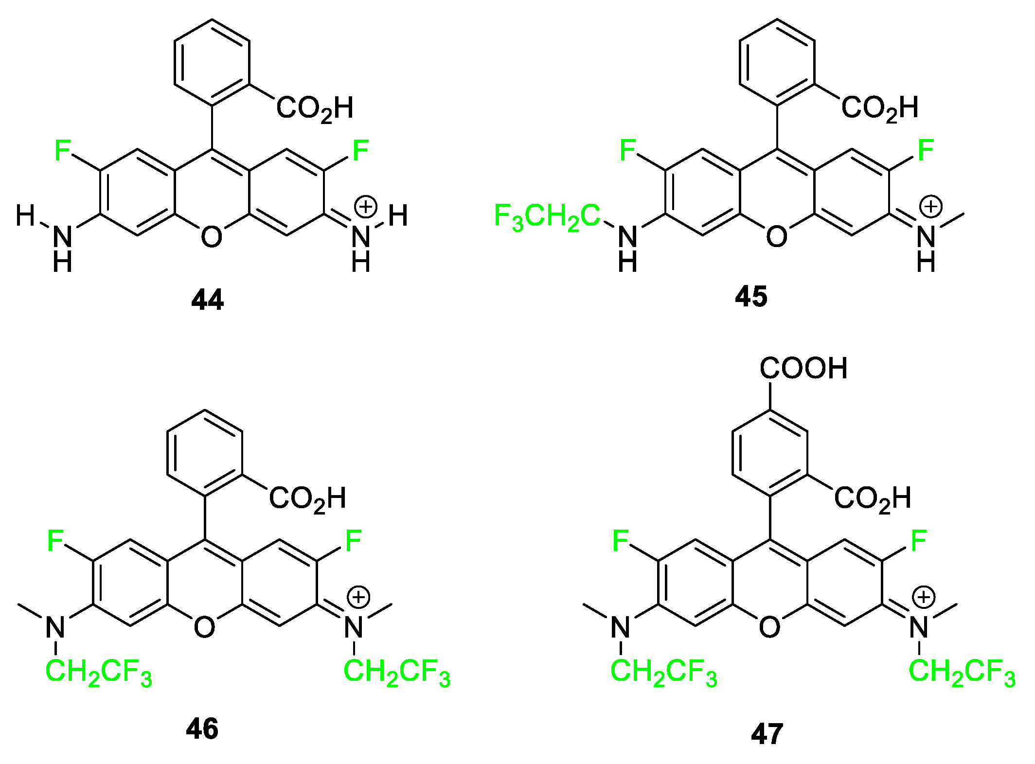 Pharmaceuticals 17 00281 g018