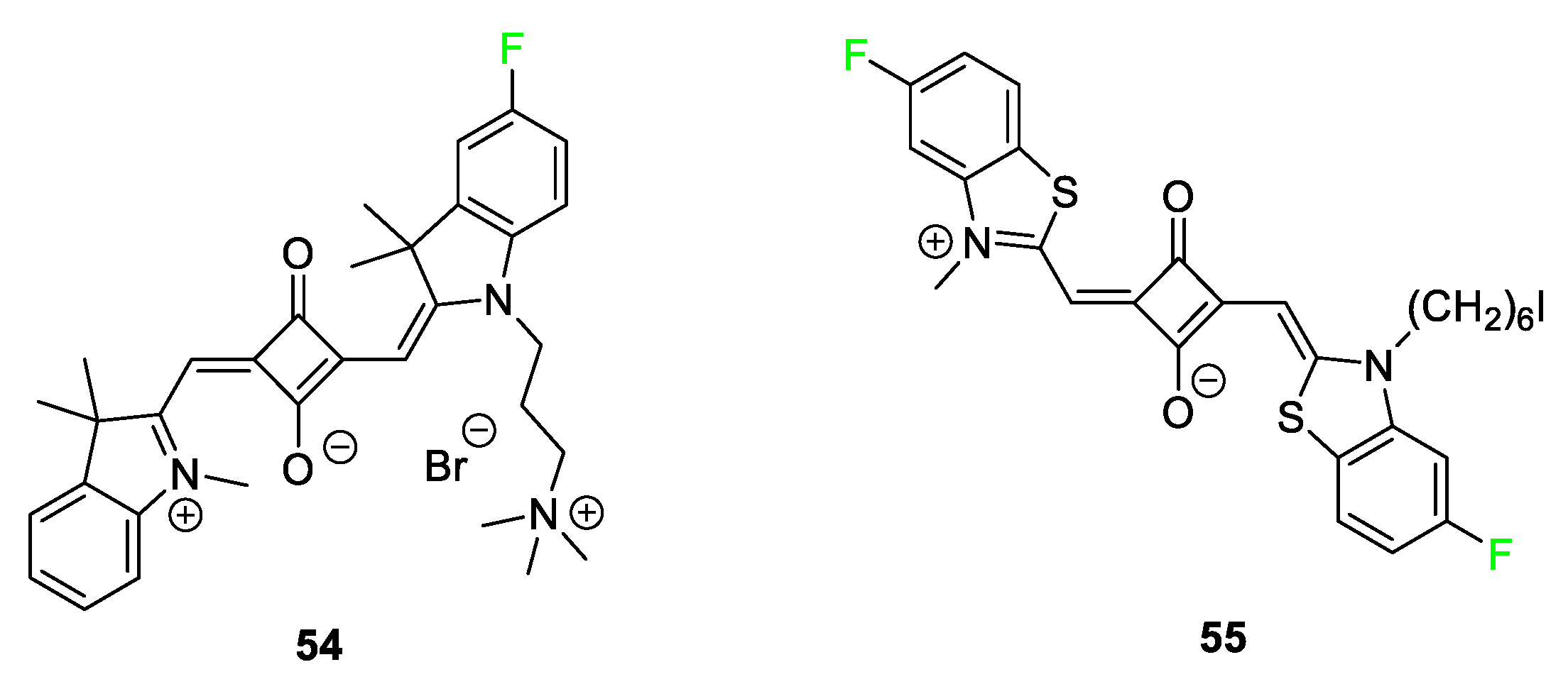 Pharmaceuticals 17 00281 g022