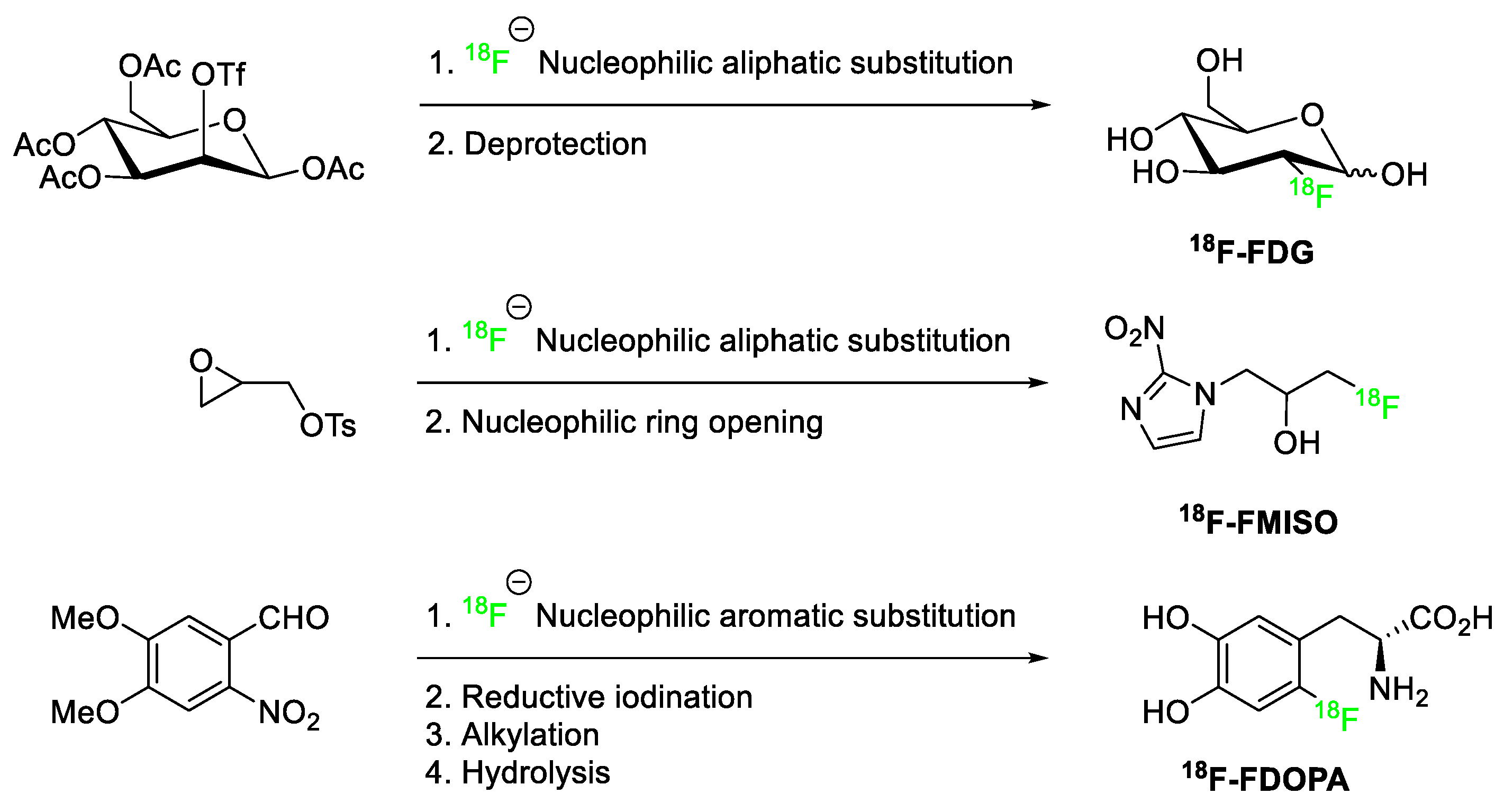 Pharmaceuticals 17 00281 g024