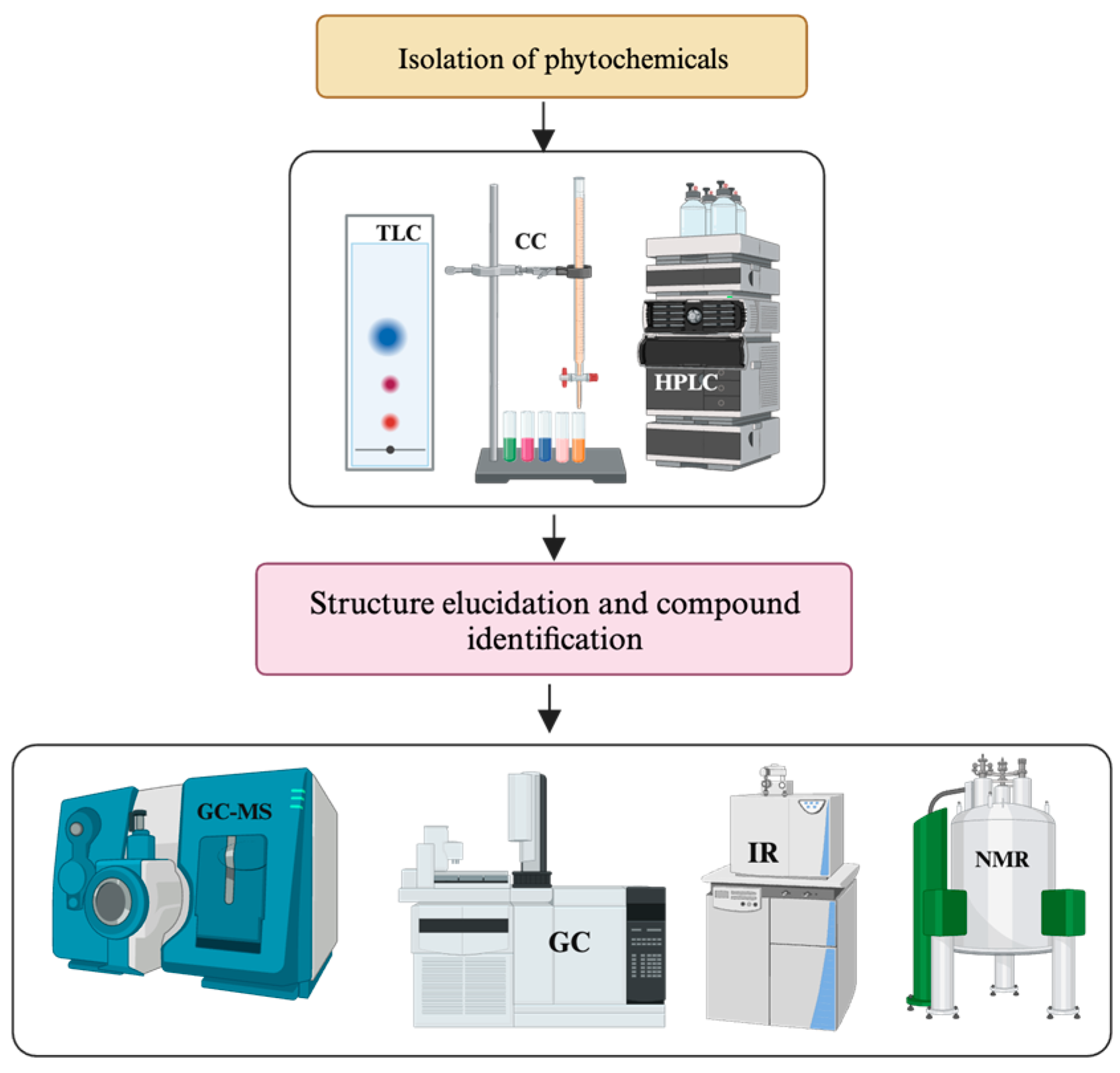 Pharmaceuticals 17 00283 g002