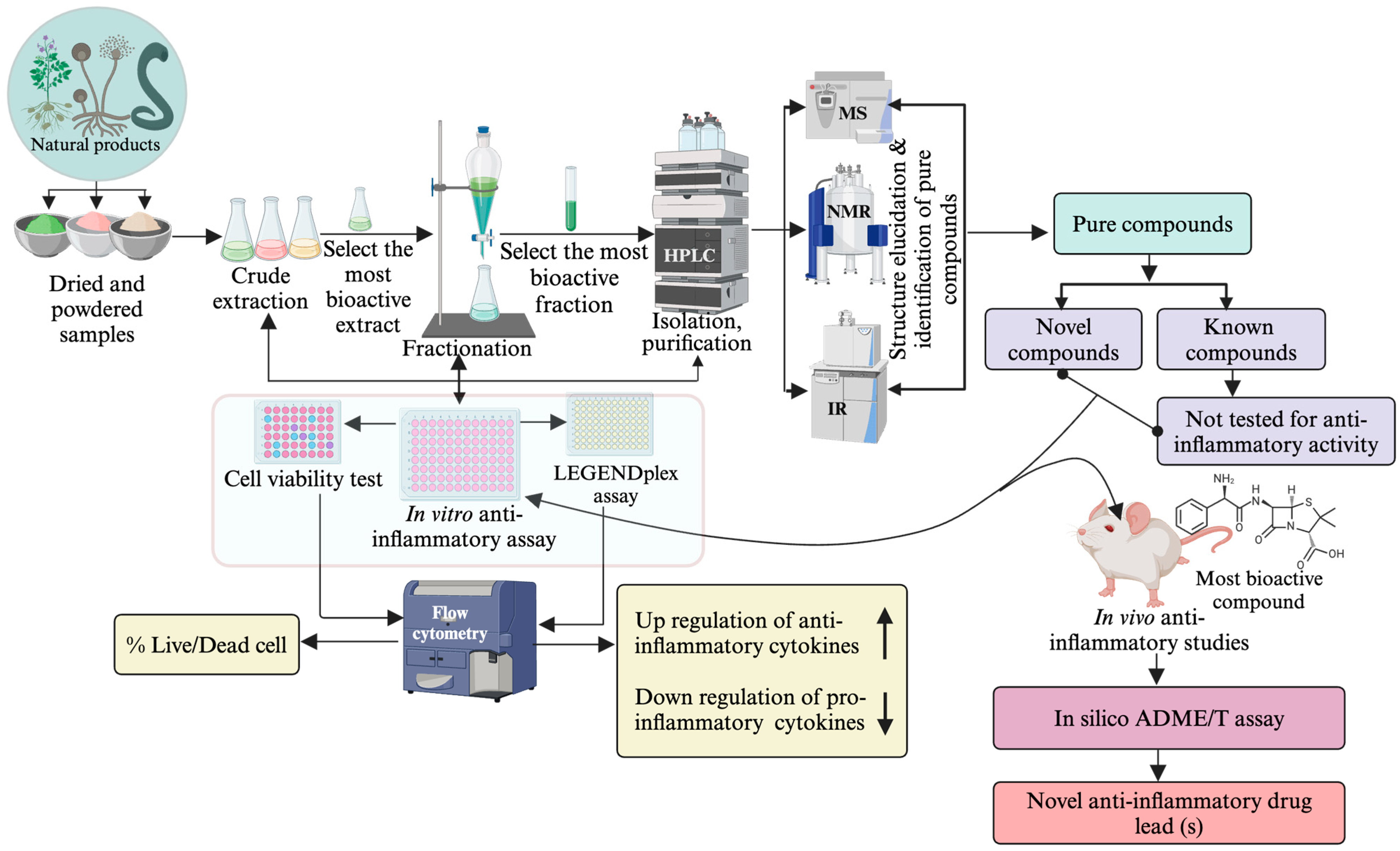Pharmaceuticals 17 00283 g003