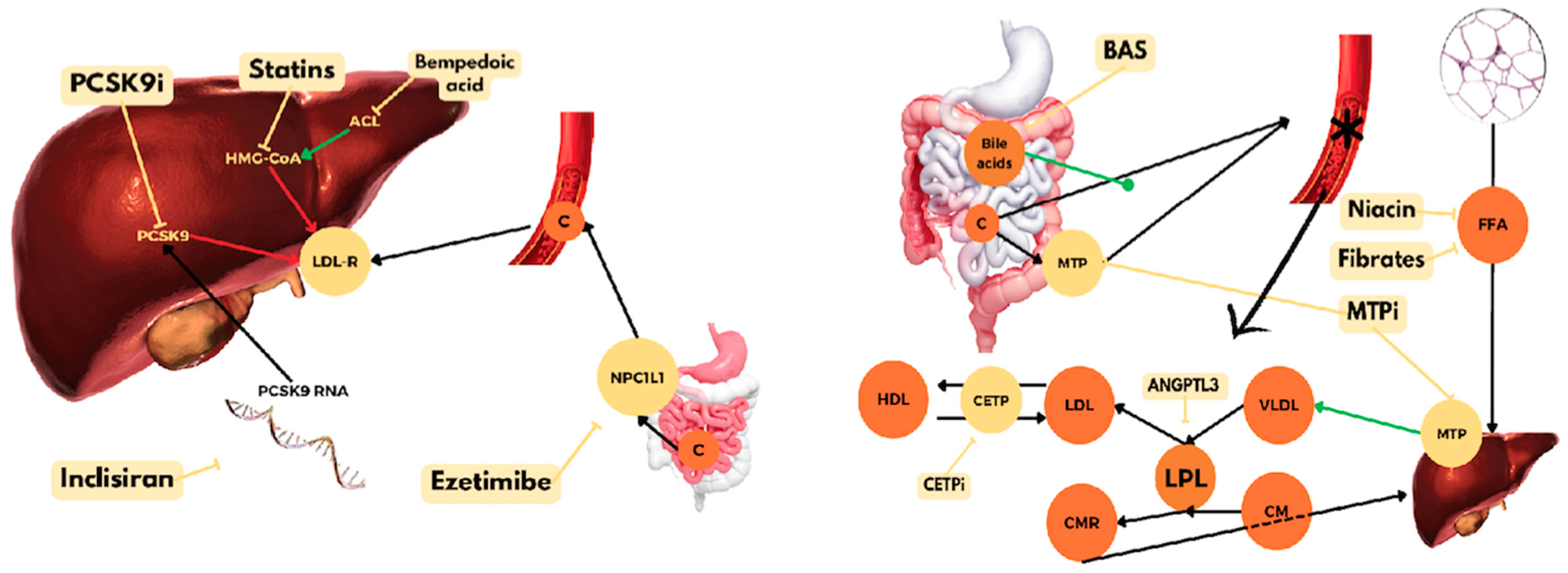 Pharmaceuticals 17 00289 g001