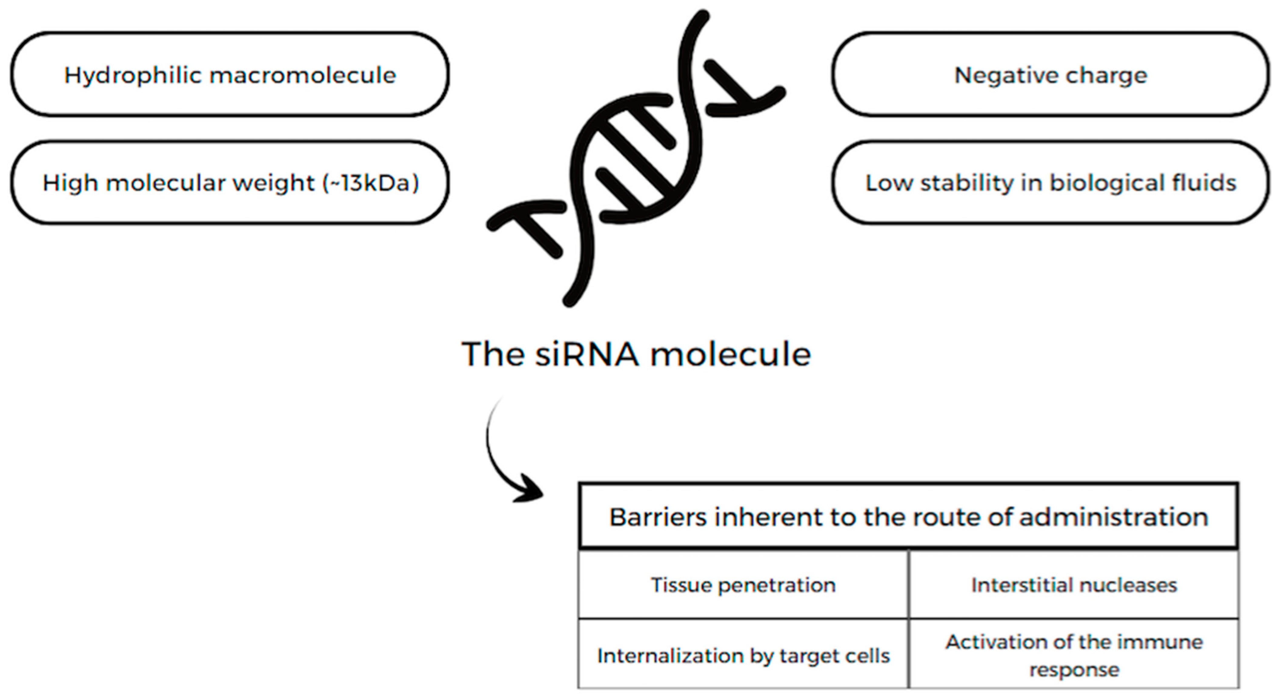 Pharmaceuticals 17 00289 g002