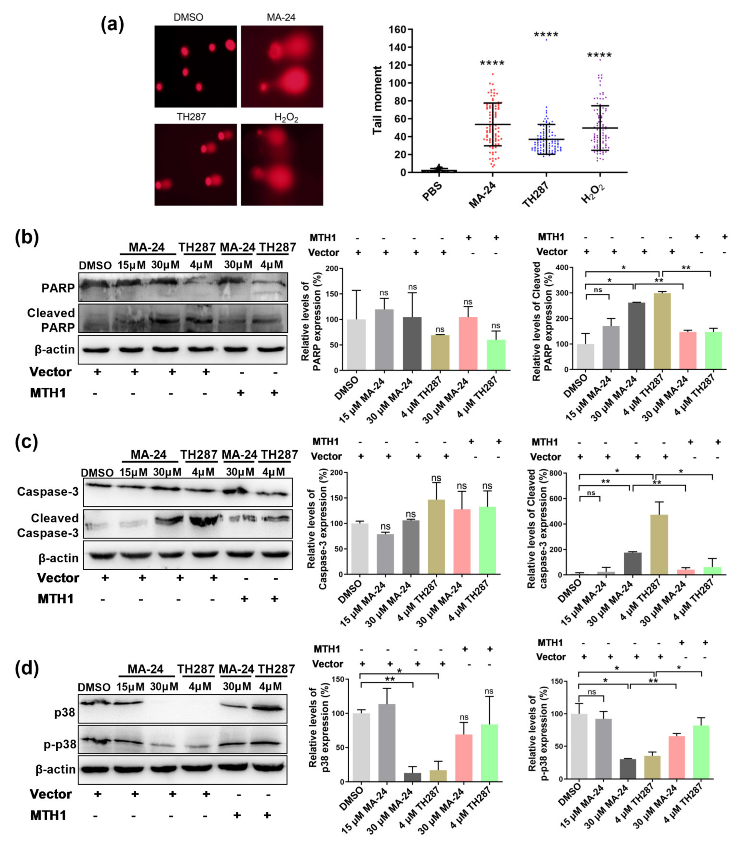 Pharmaceuticals 17 00291 g004
