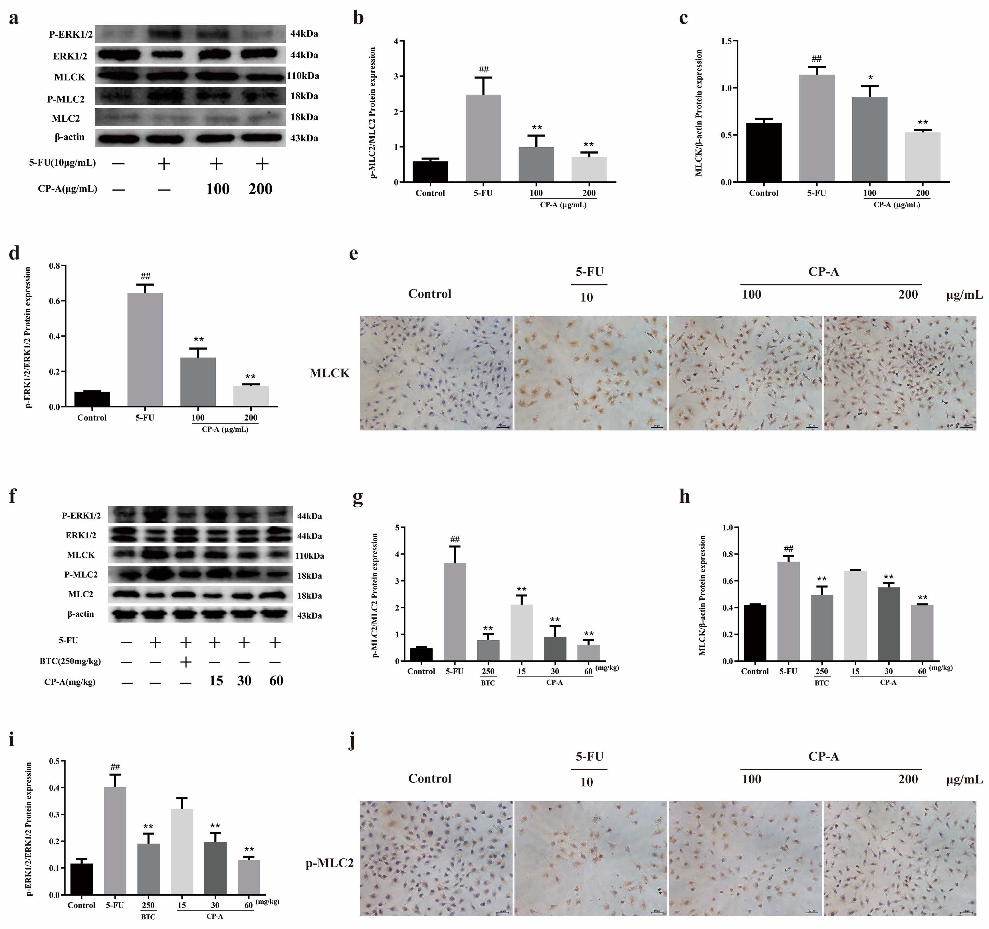 Pharmaceuticals 17 00297 g004