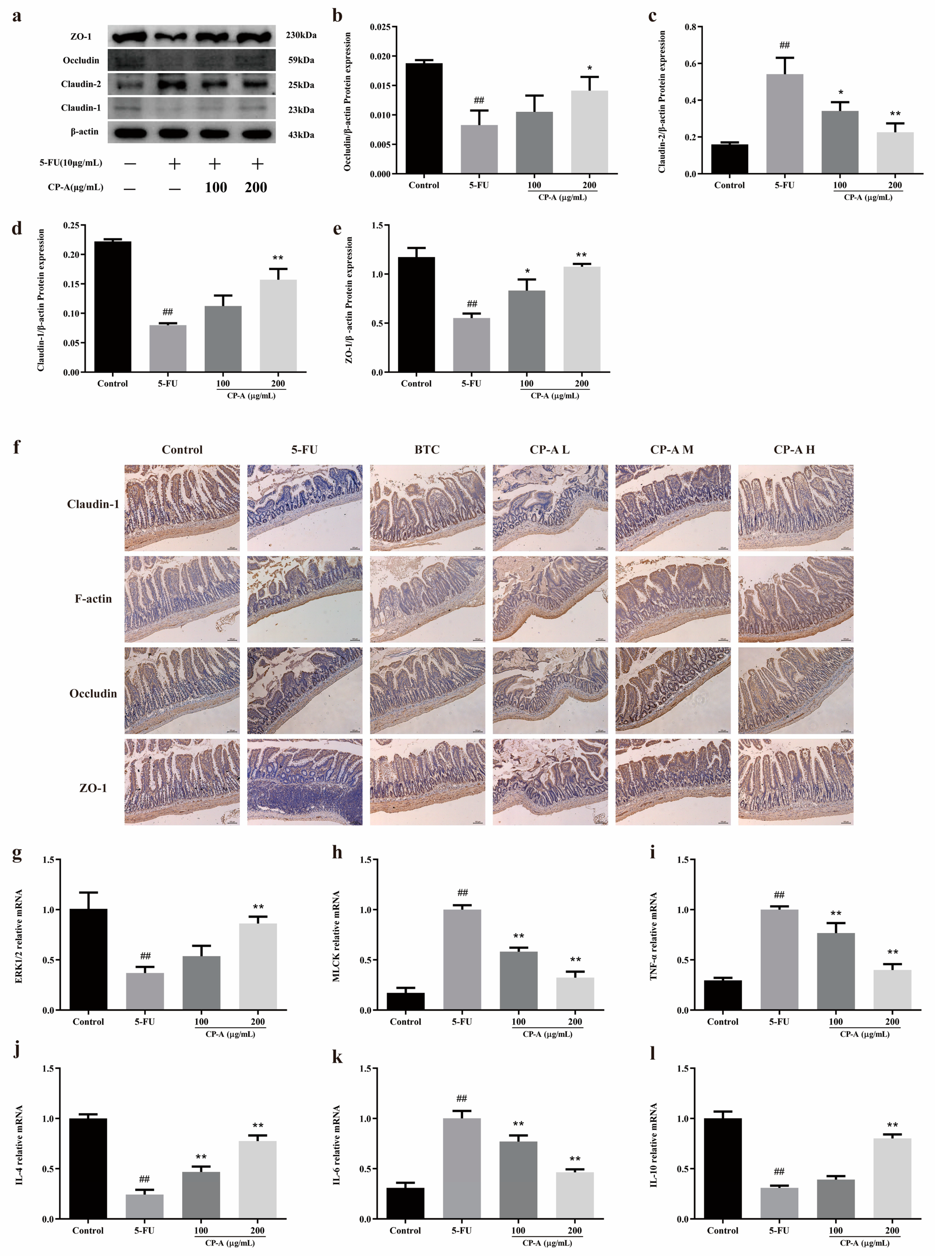 Pharmaceuticals 17 00297 g005