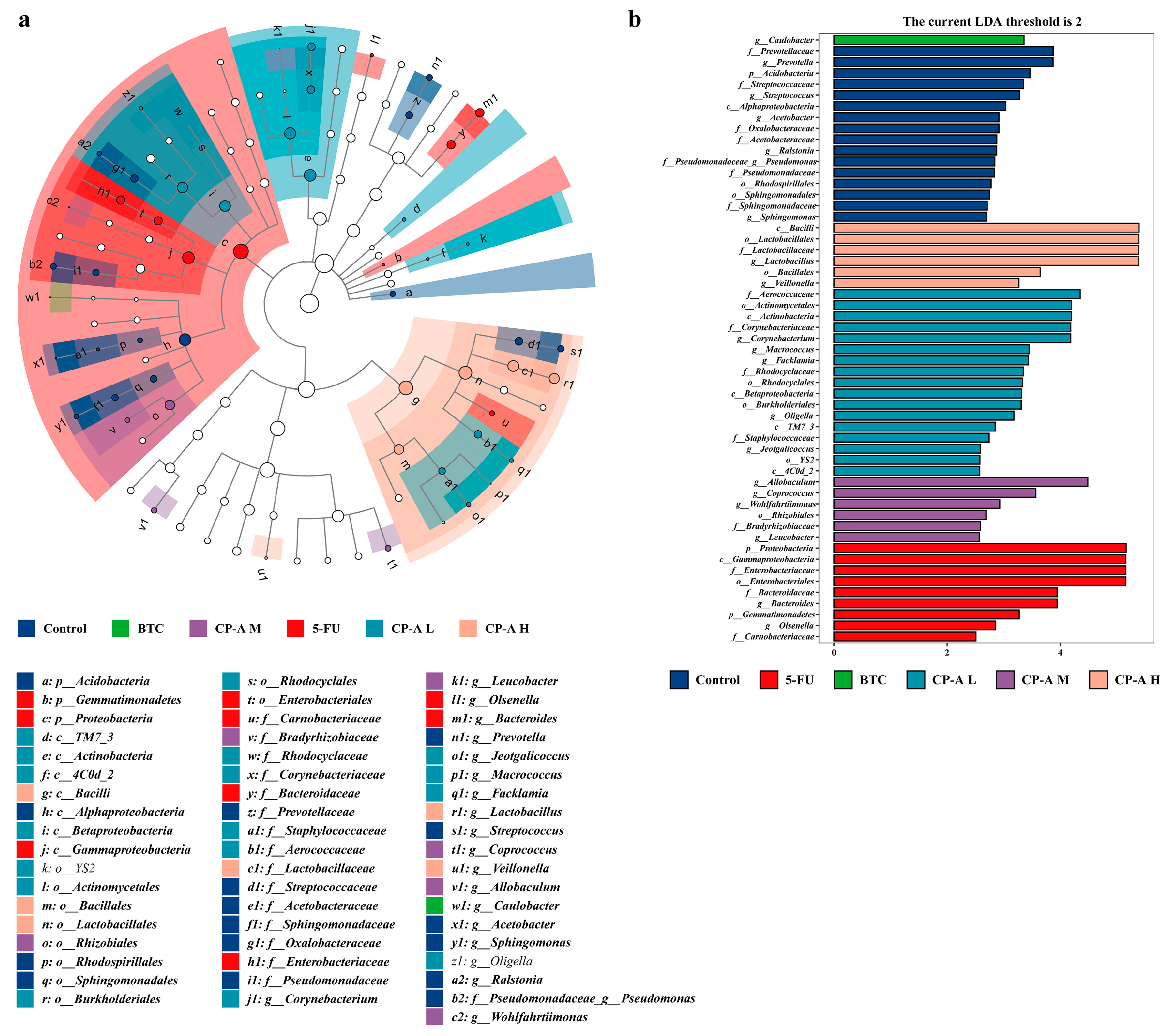 Pharmaceuticals 17 00297 g008