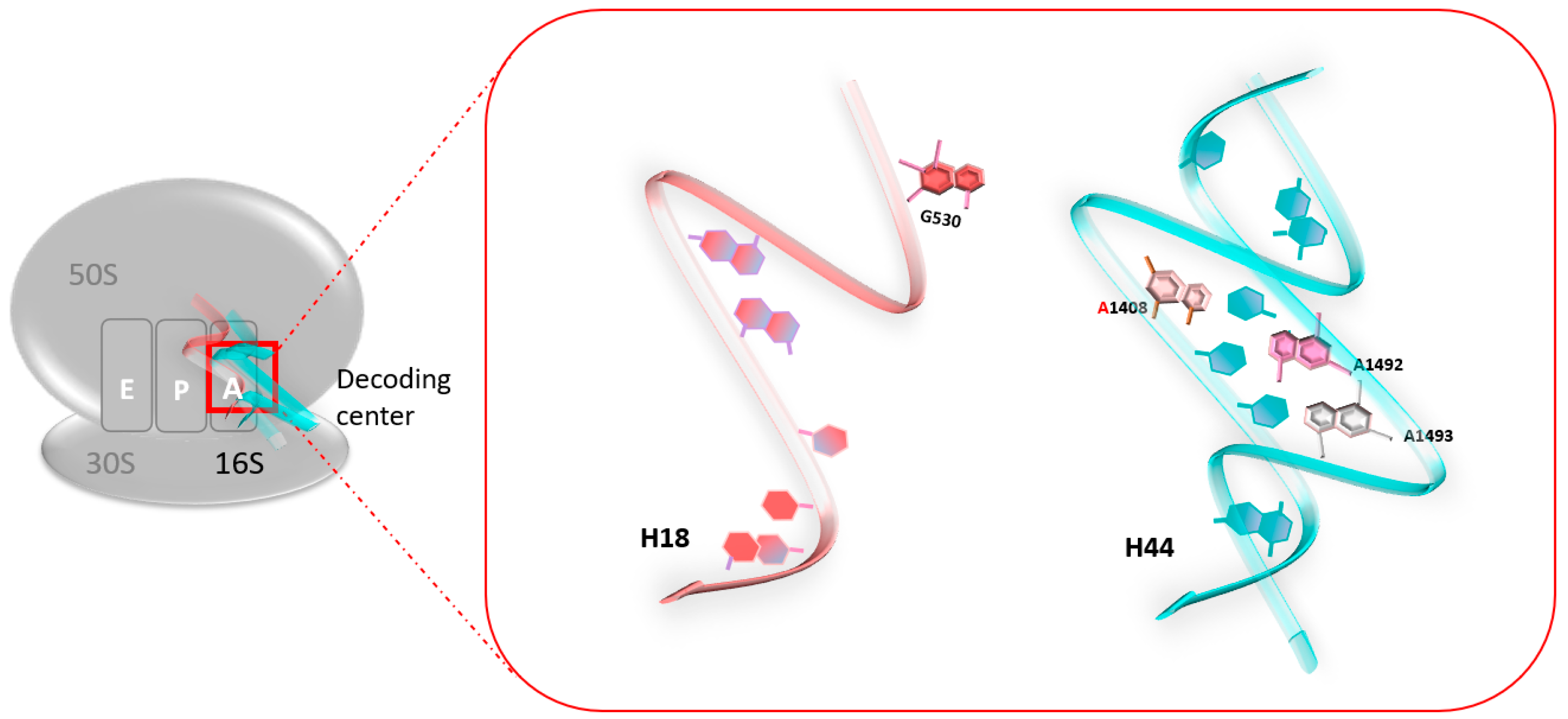 Pharmaceuticals 17 00314 g001