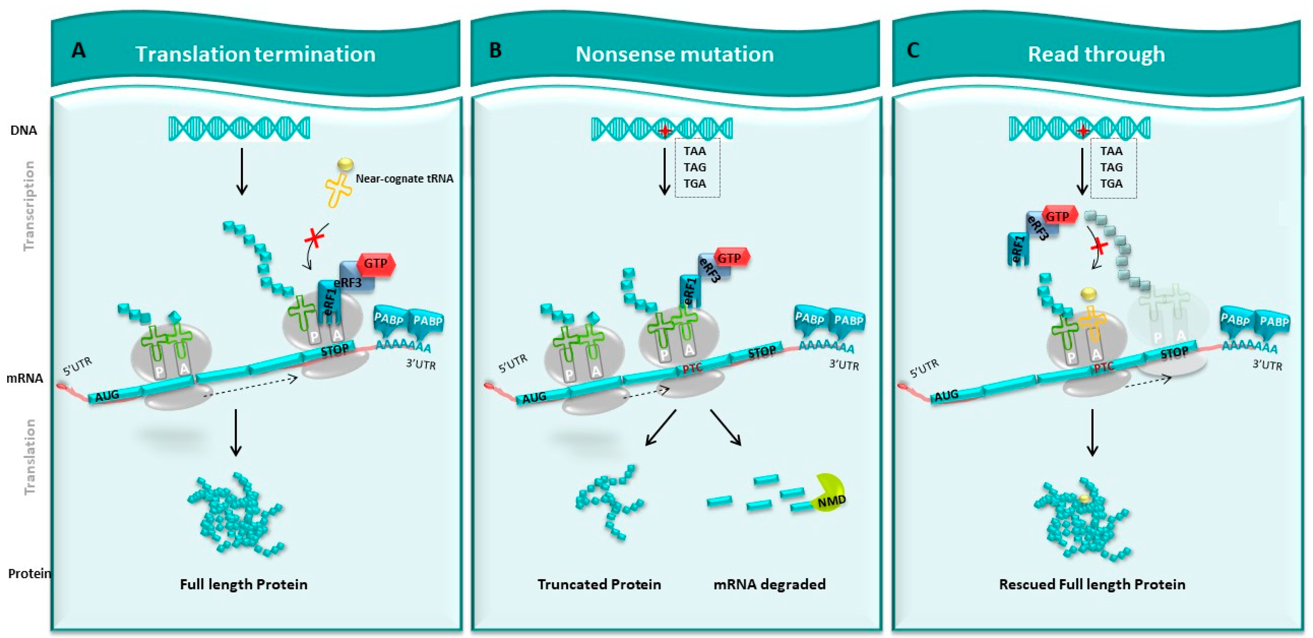 Pharmaceuticals 17 00314 g002