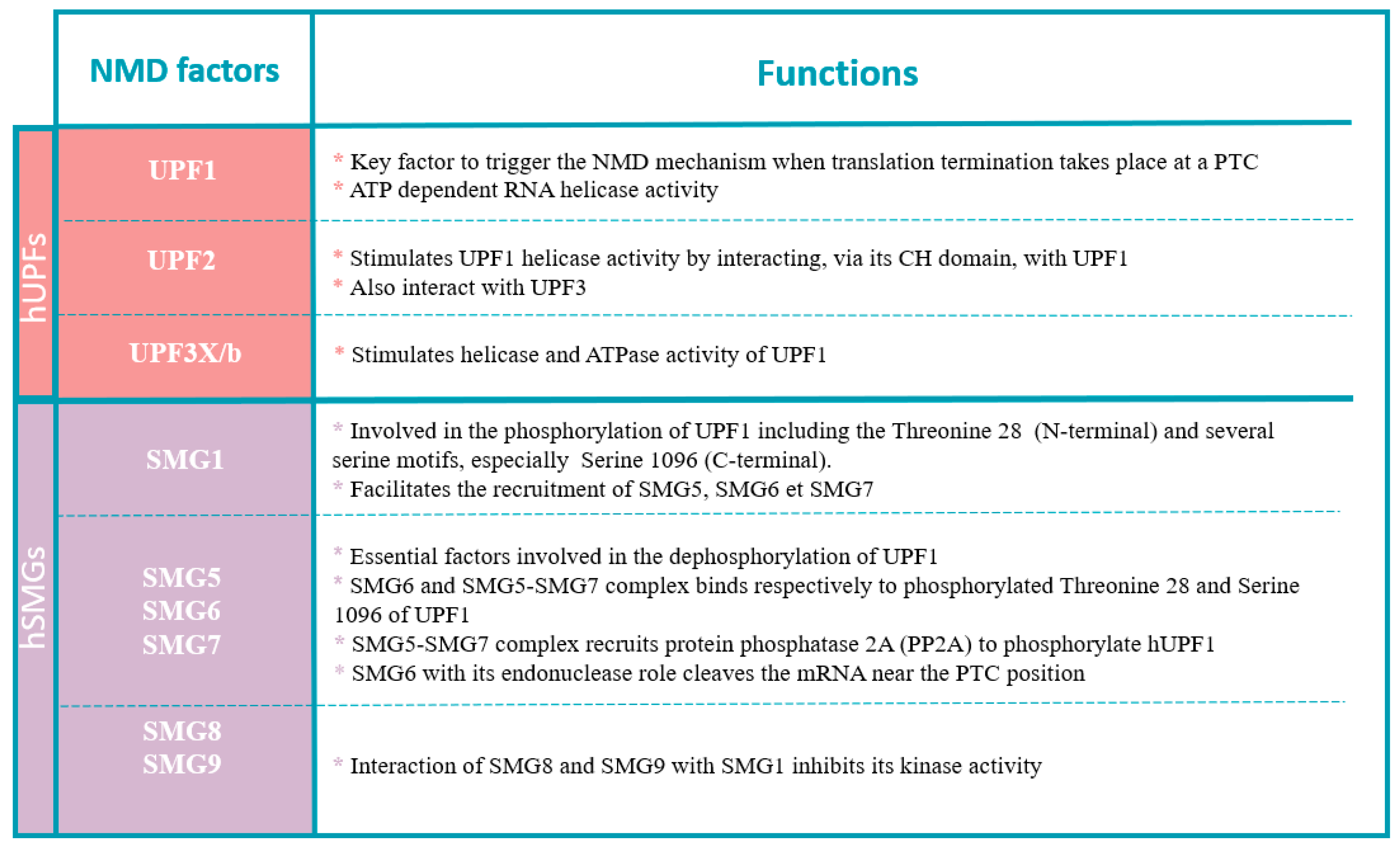 Pharmaceuticals 17 00314 g004