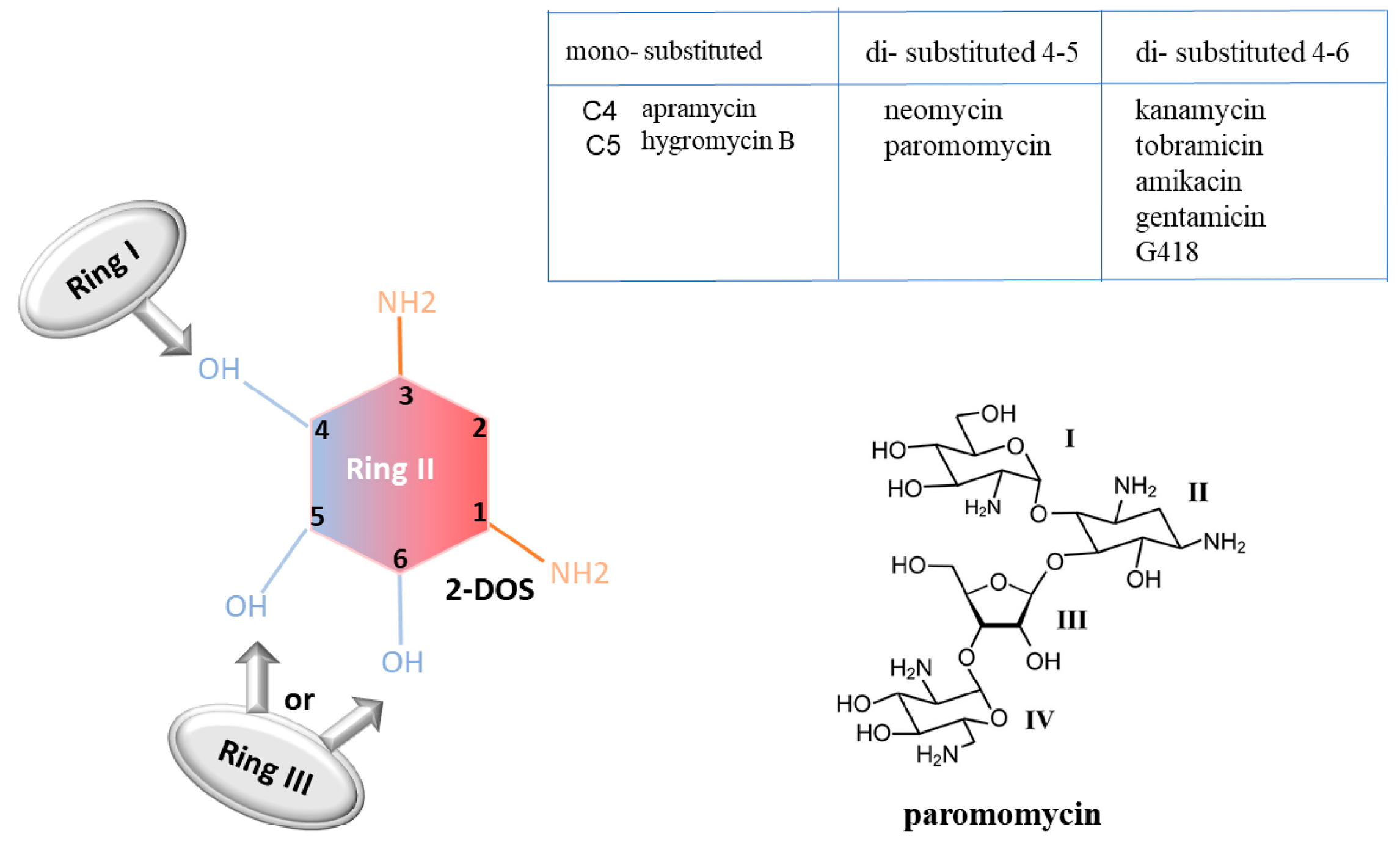 Pharmaceuticals 17 00314 g006