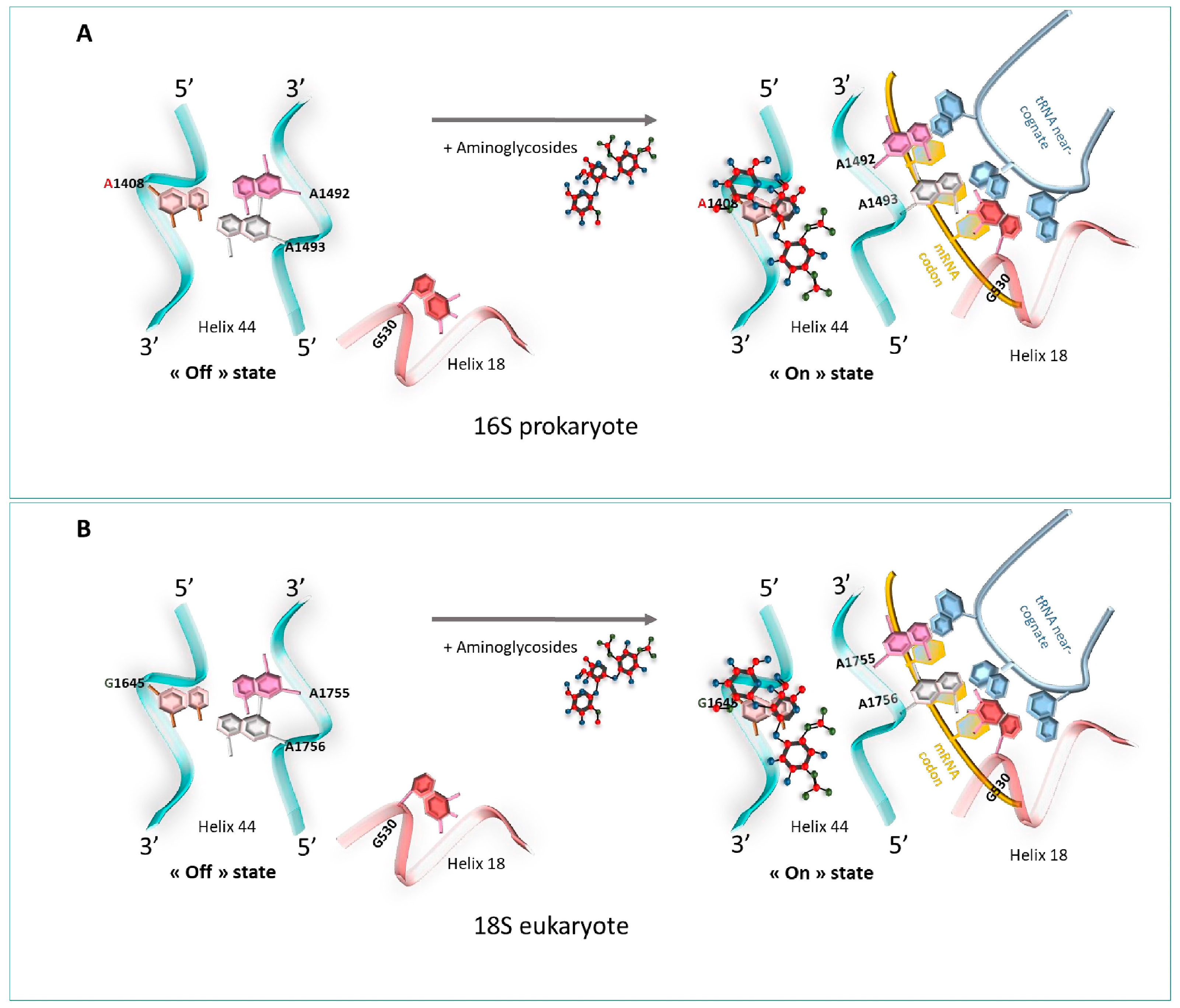 Pharmaceuticals 17 00314 g007