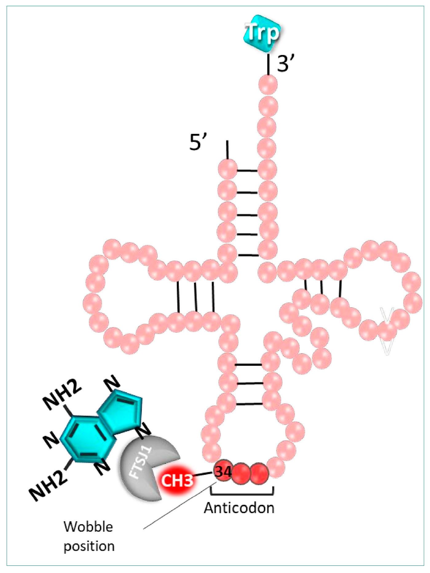 Pharmaceuticals 17 00314 g008