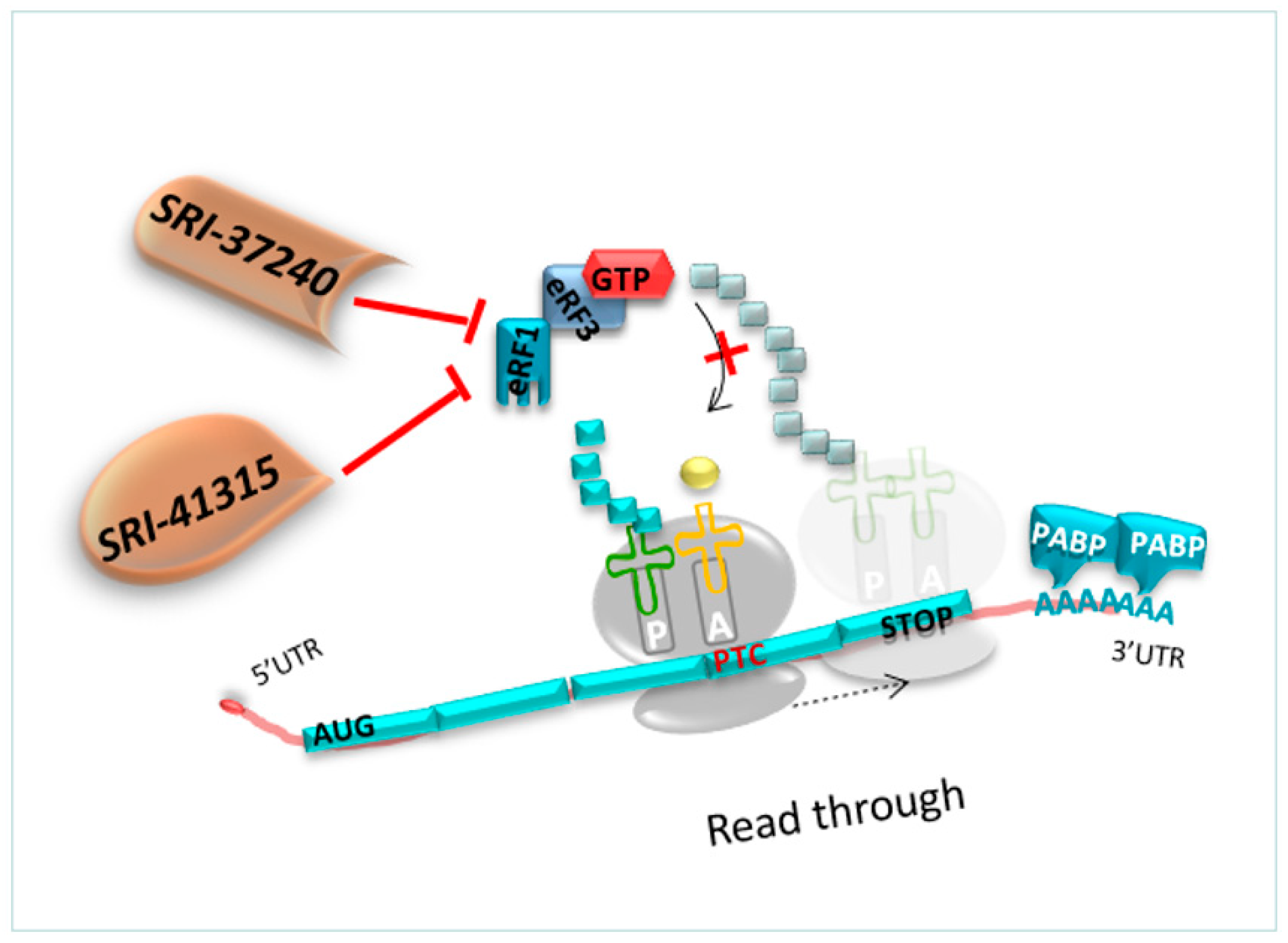 Pharmaceuticals 17 00314 g009
