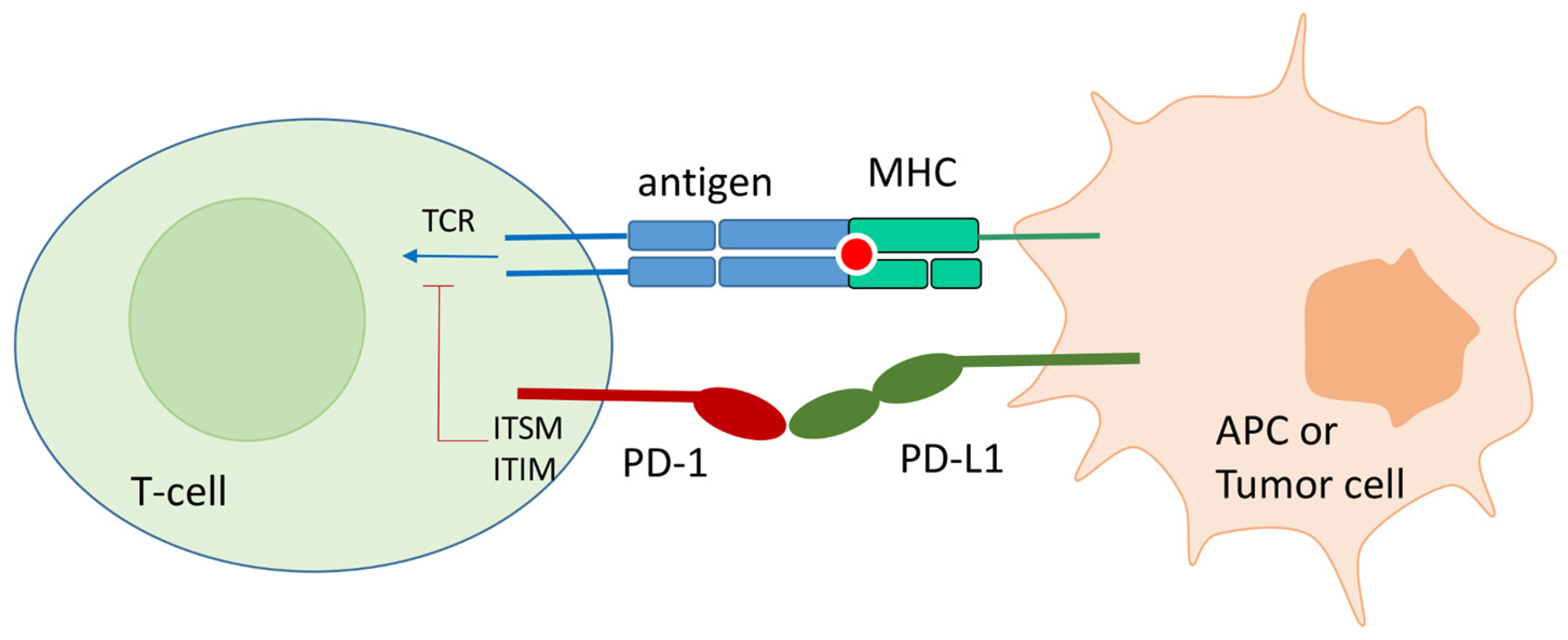 Pharmaceuticals 17 00316 g001