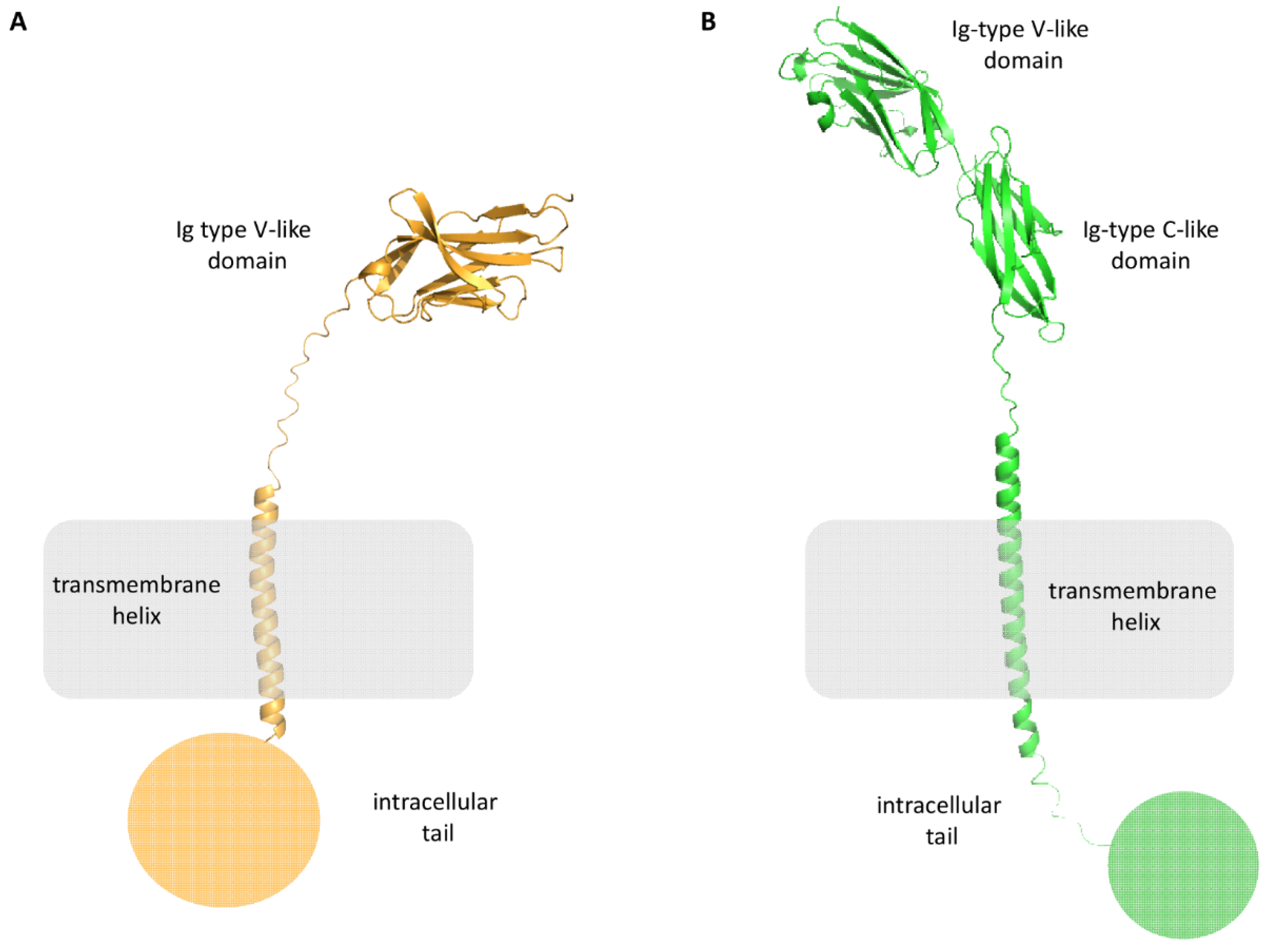 Pharmaceuticals 17 00316 g003