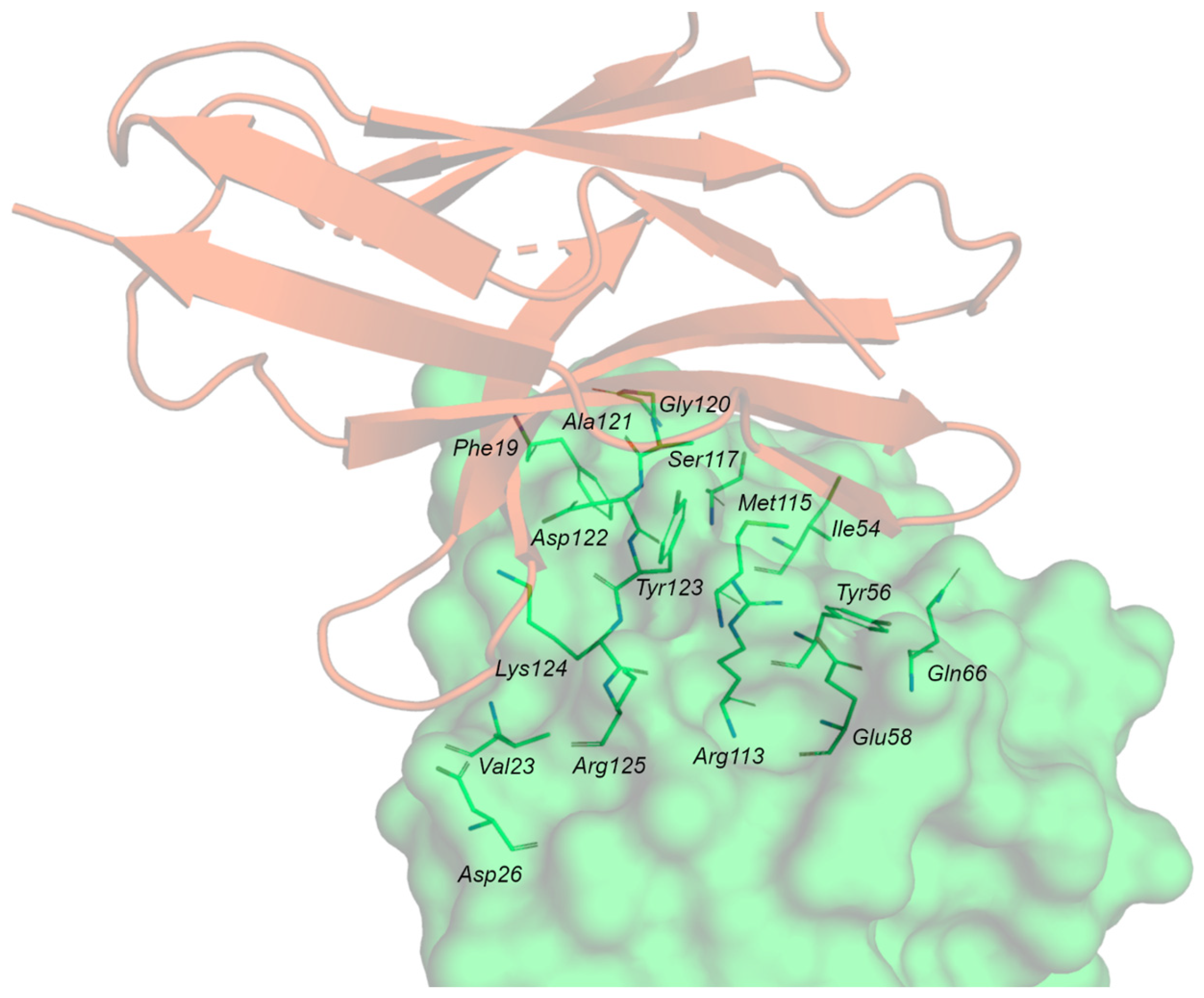 Pharmaceuticals 17 00316 g004