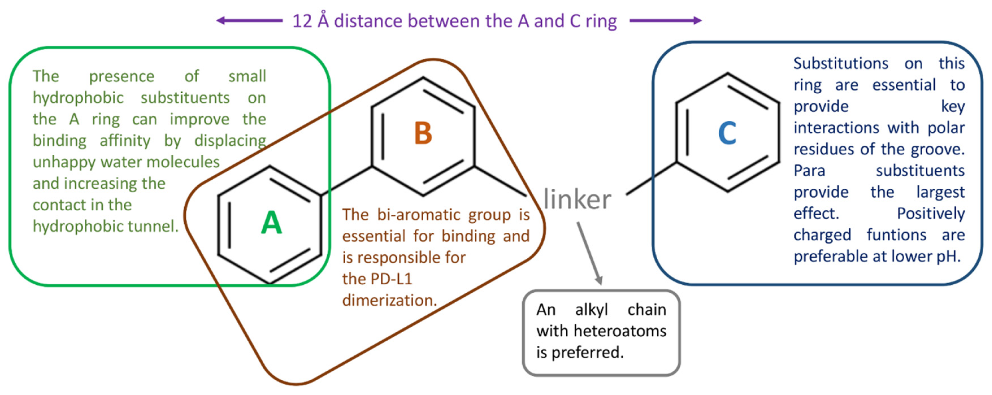 Pharmaceuticals 17 00316 g008