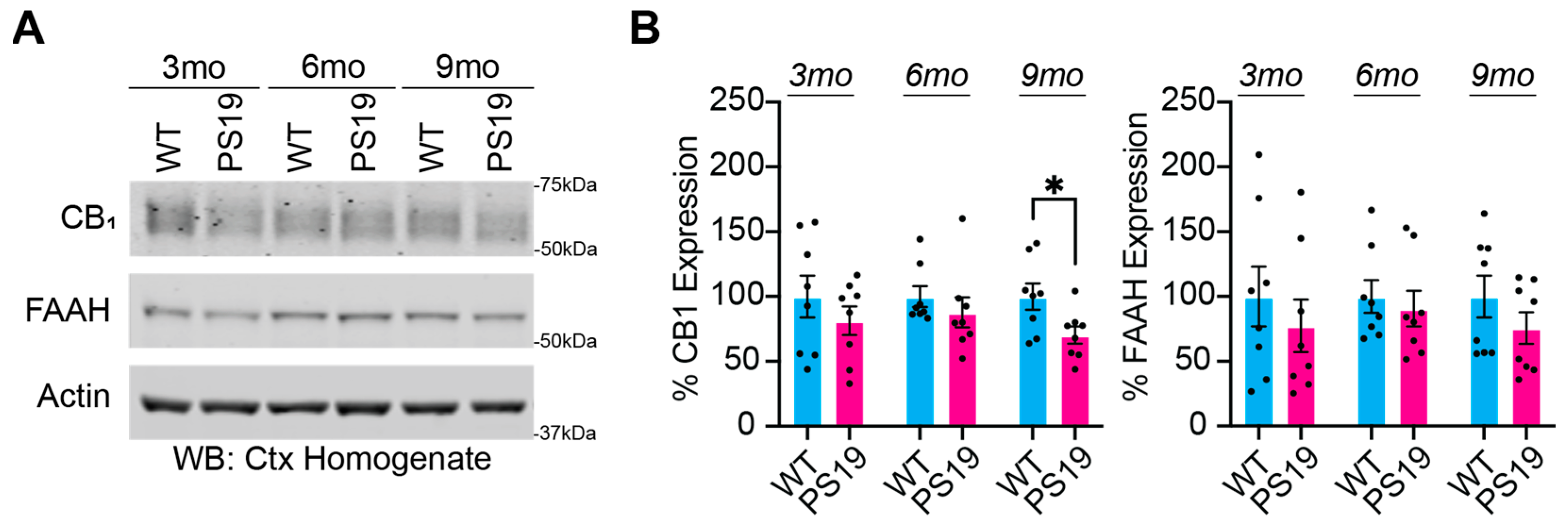 Pharmaceuticals 17 00319 g001