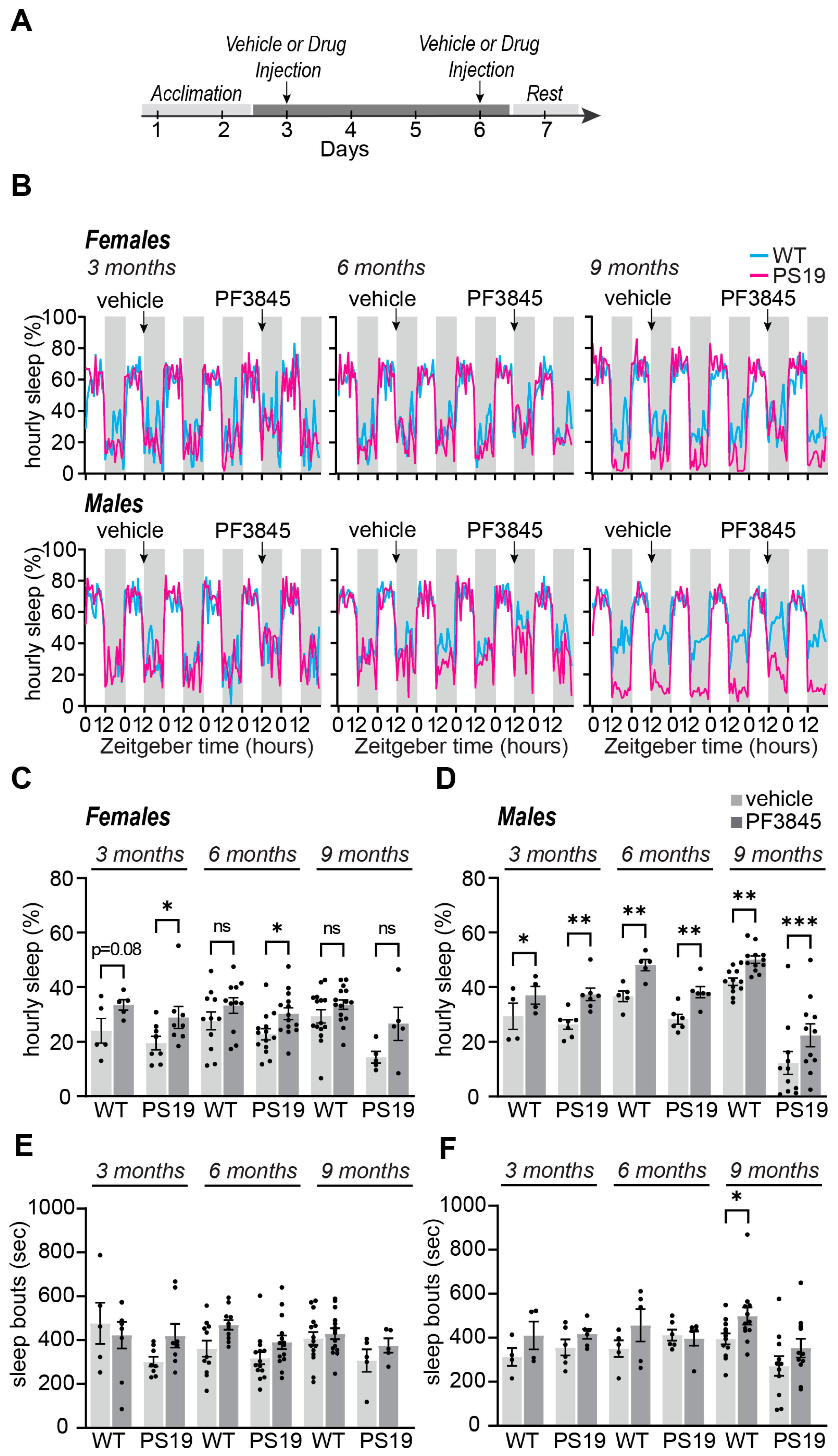 Pharmaceuticals 17 00319 g002